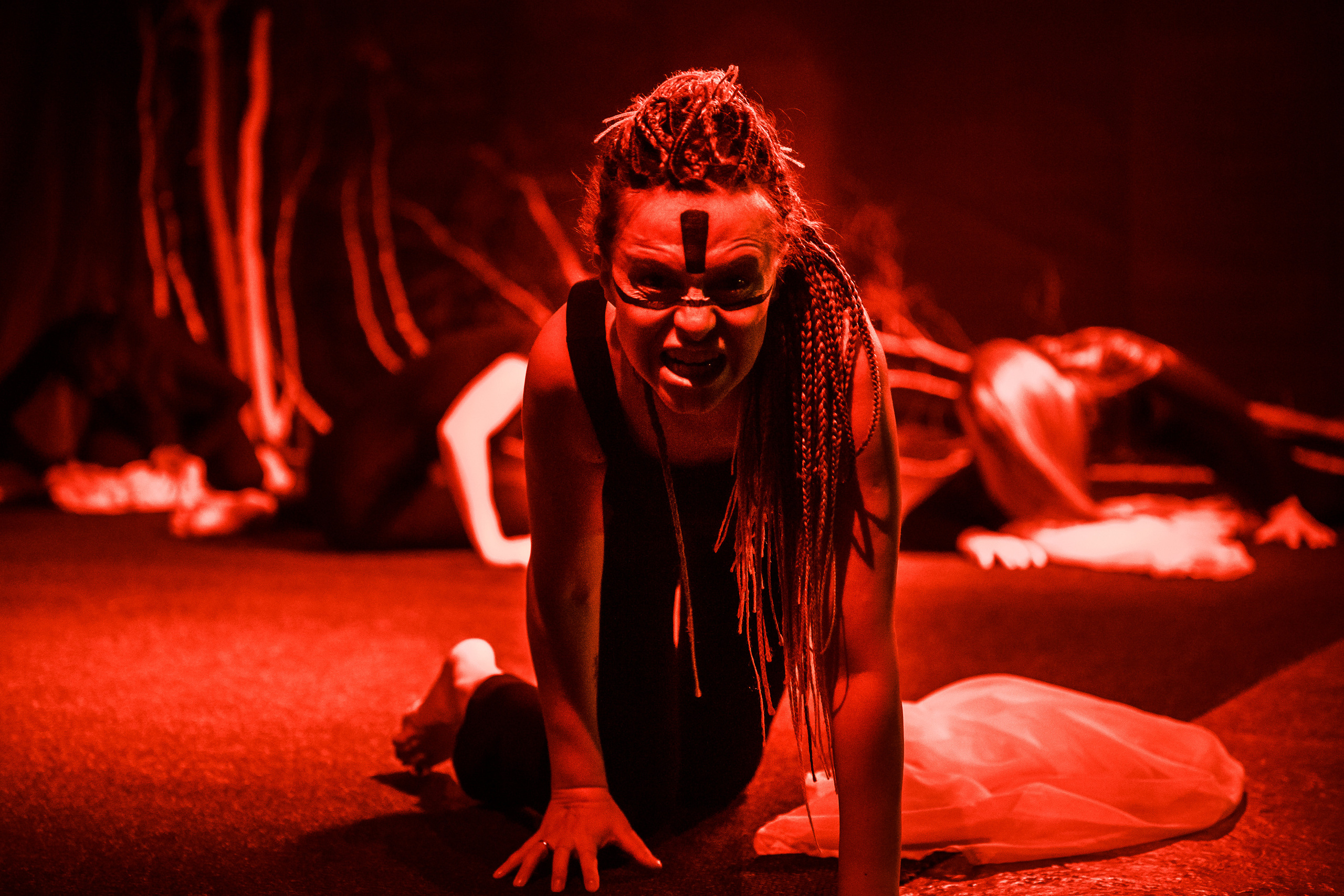 Events. Wedding and family photographer USA