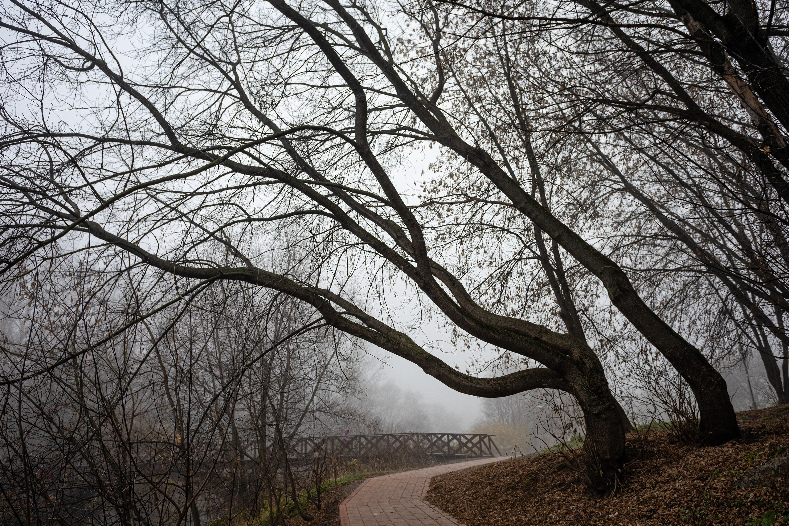 Город на озере Неро