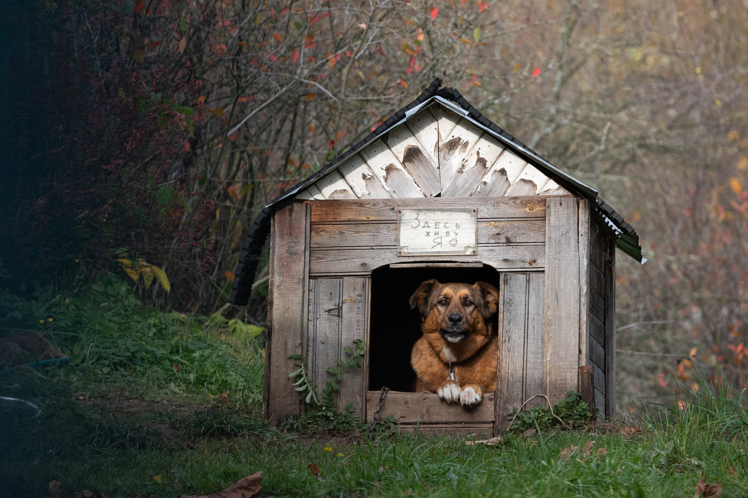 Город на озере Неро
