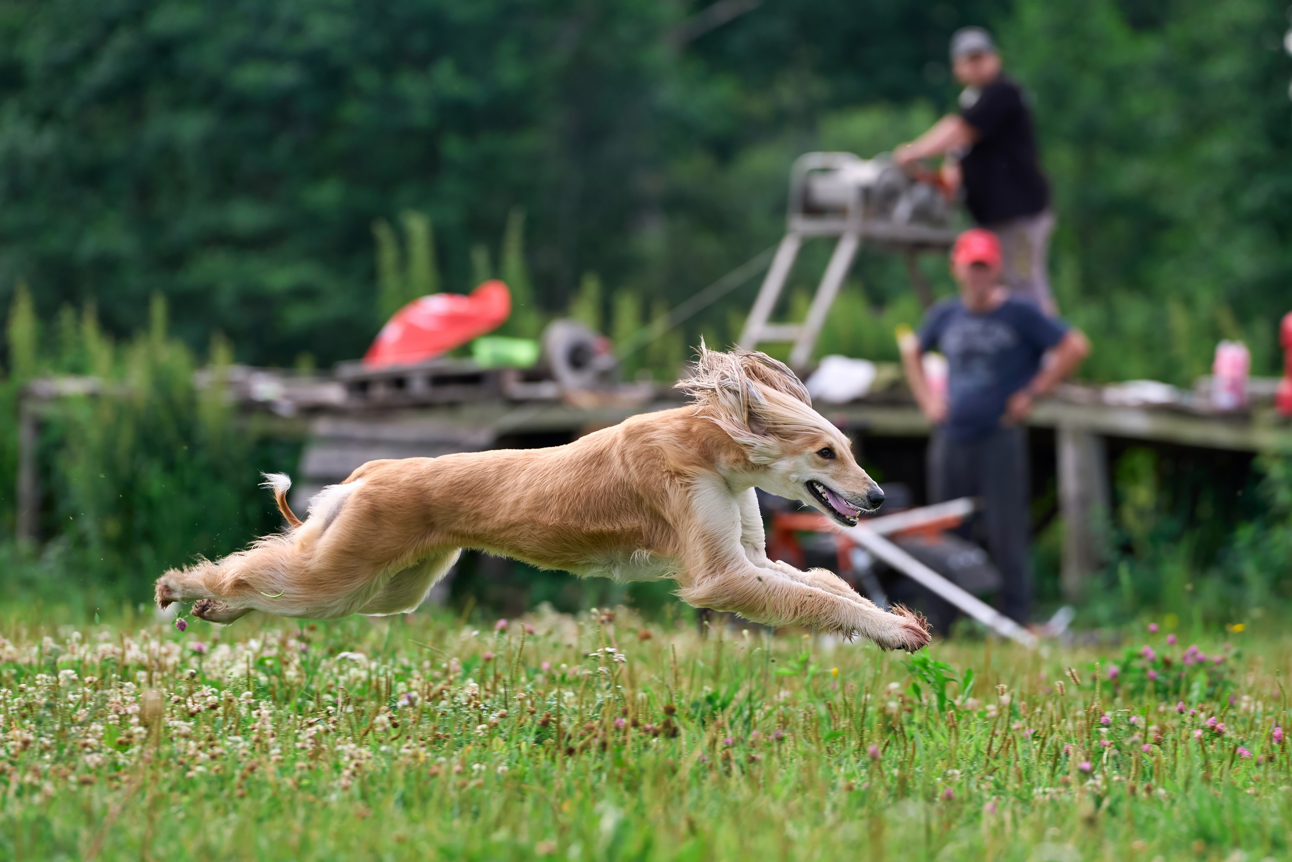 Истории и анонсы. Фотограф-анималист Михаил Манухин