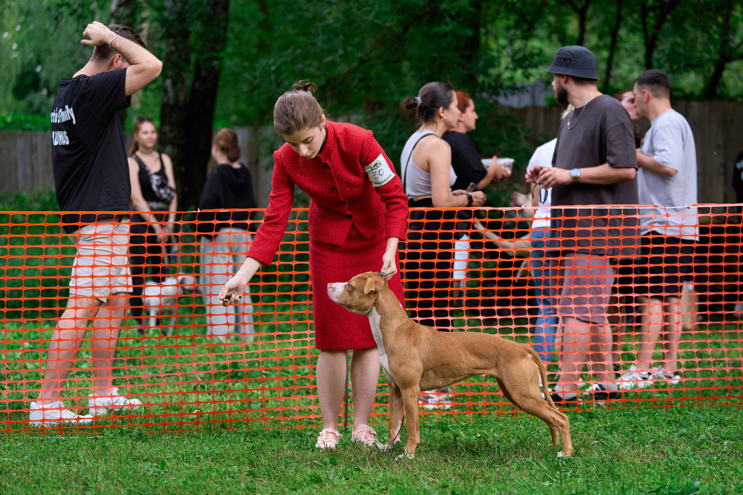 Истории и анонсы. Фотограф-анималист Михаил Манухин