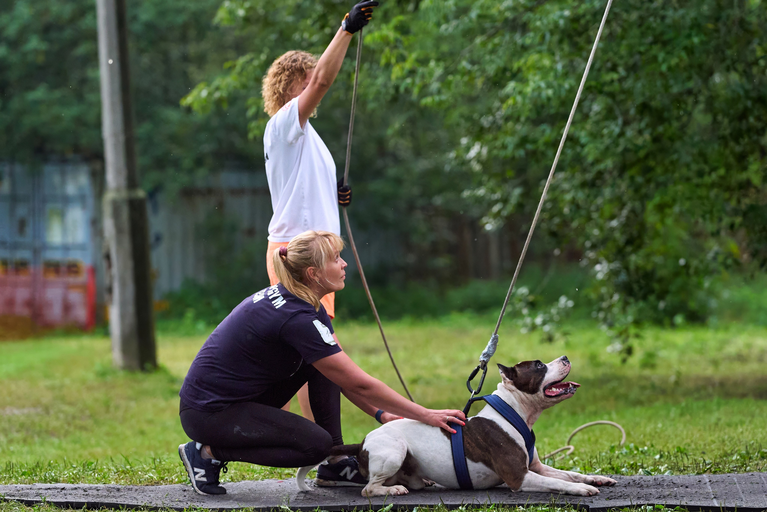 Истории и анонсы. Фотограф-анималист Михаил Манухин