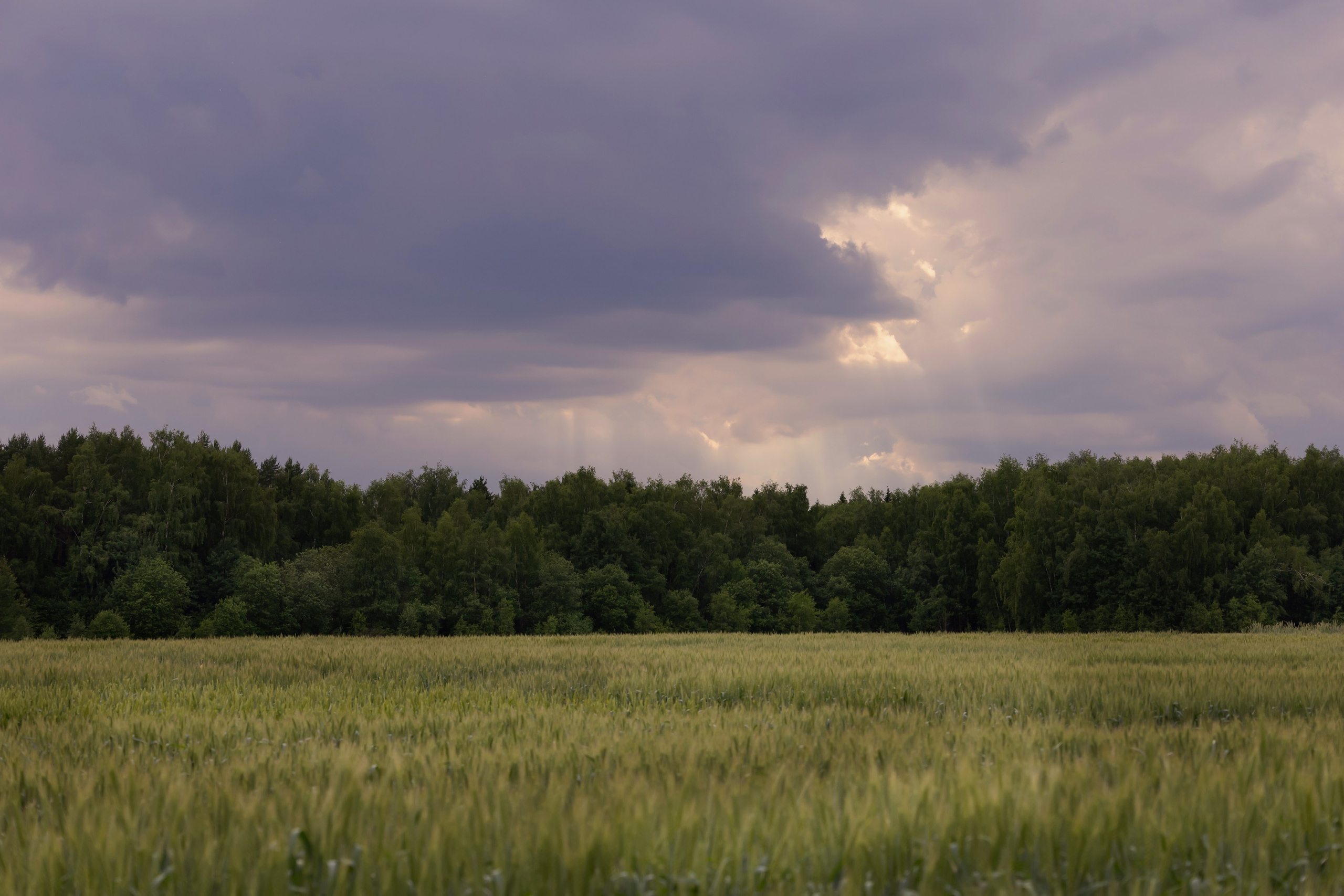 Август. Профессиональный фотограф в Москве, Измайлово