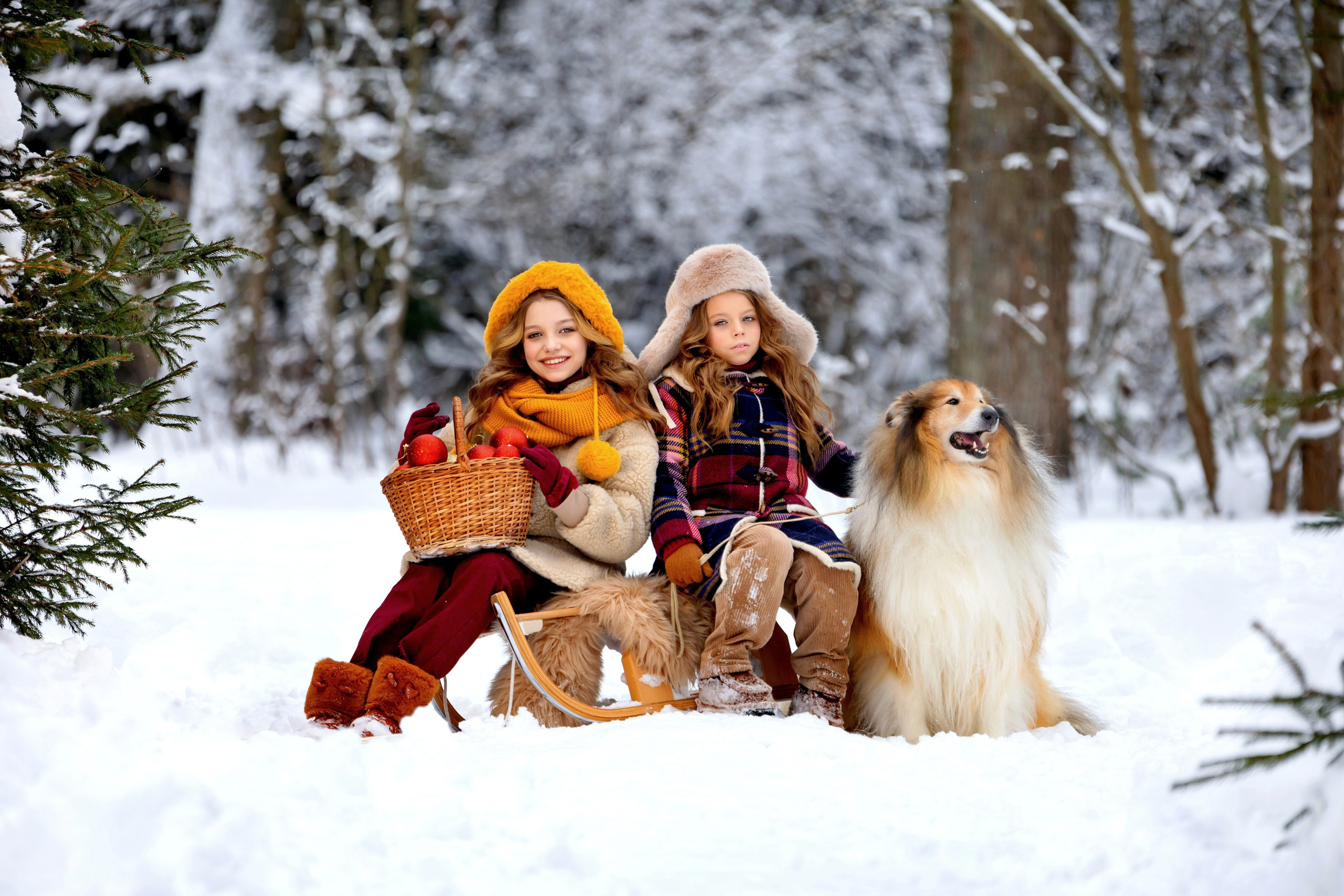 Where does the desire to take photographs begin?. Photo-gerz.ru