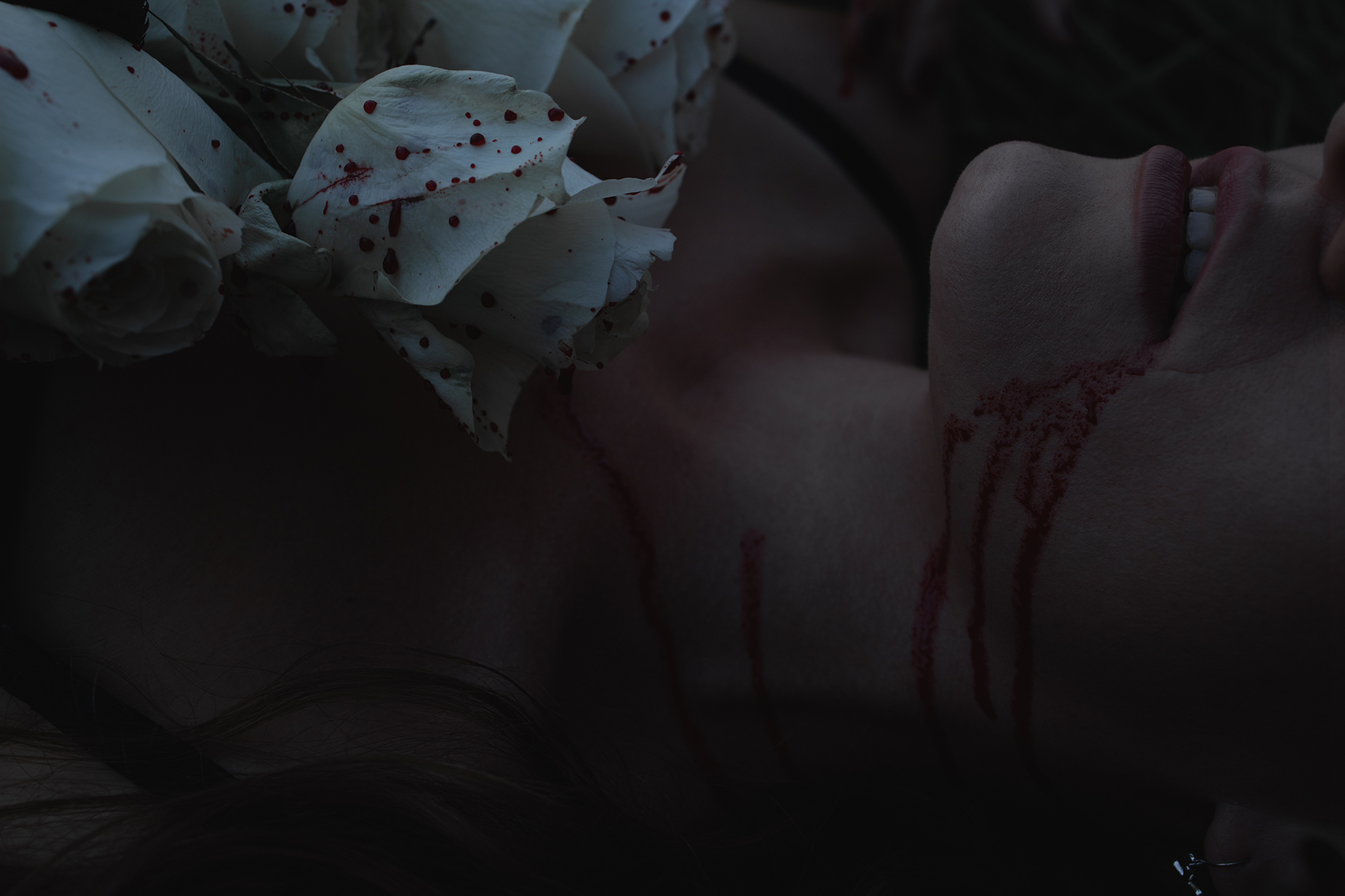 White roses cry bloody tears