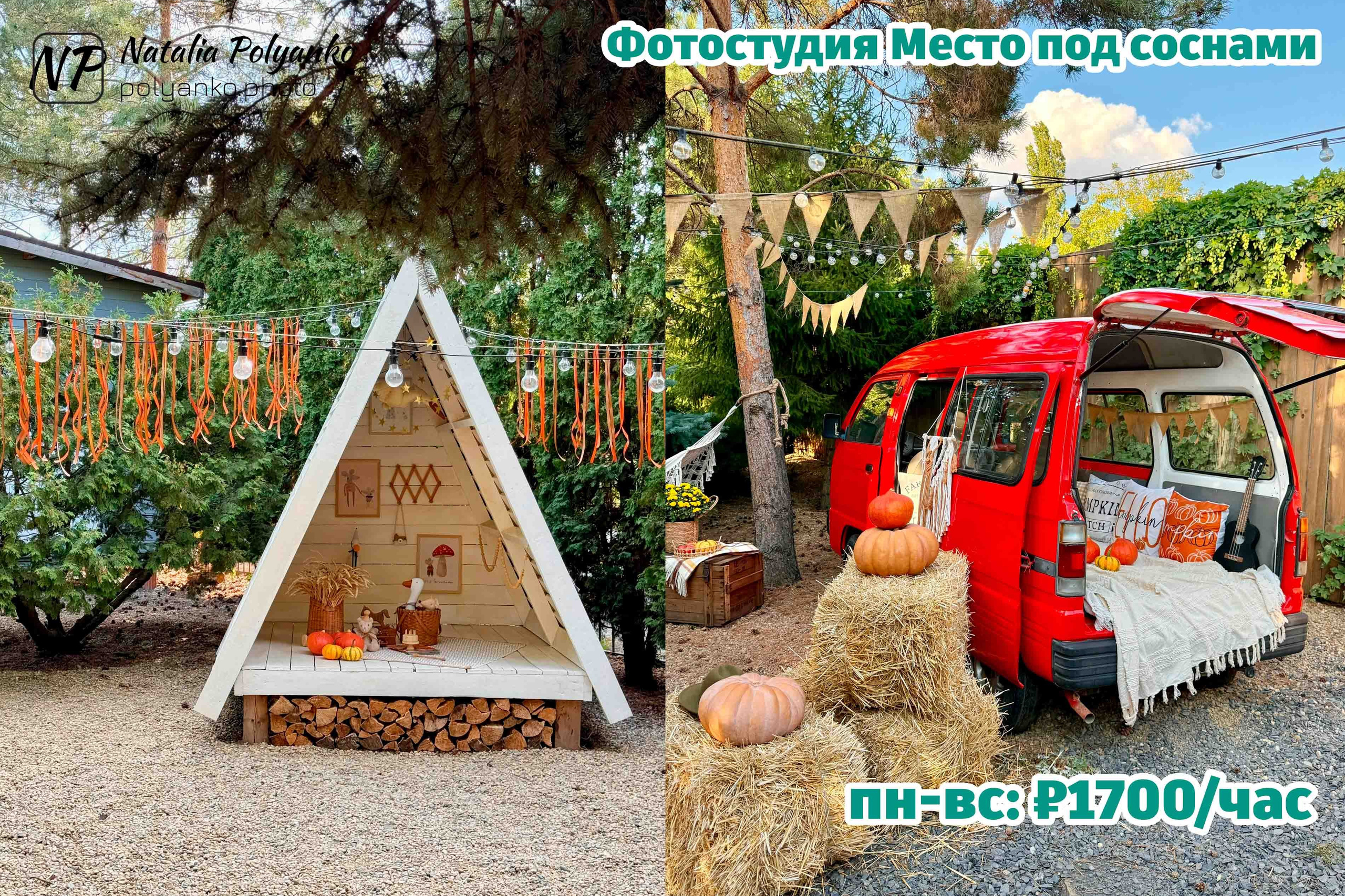 Место под соснами