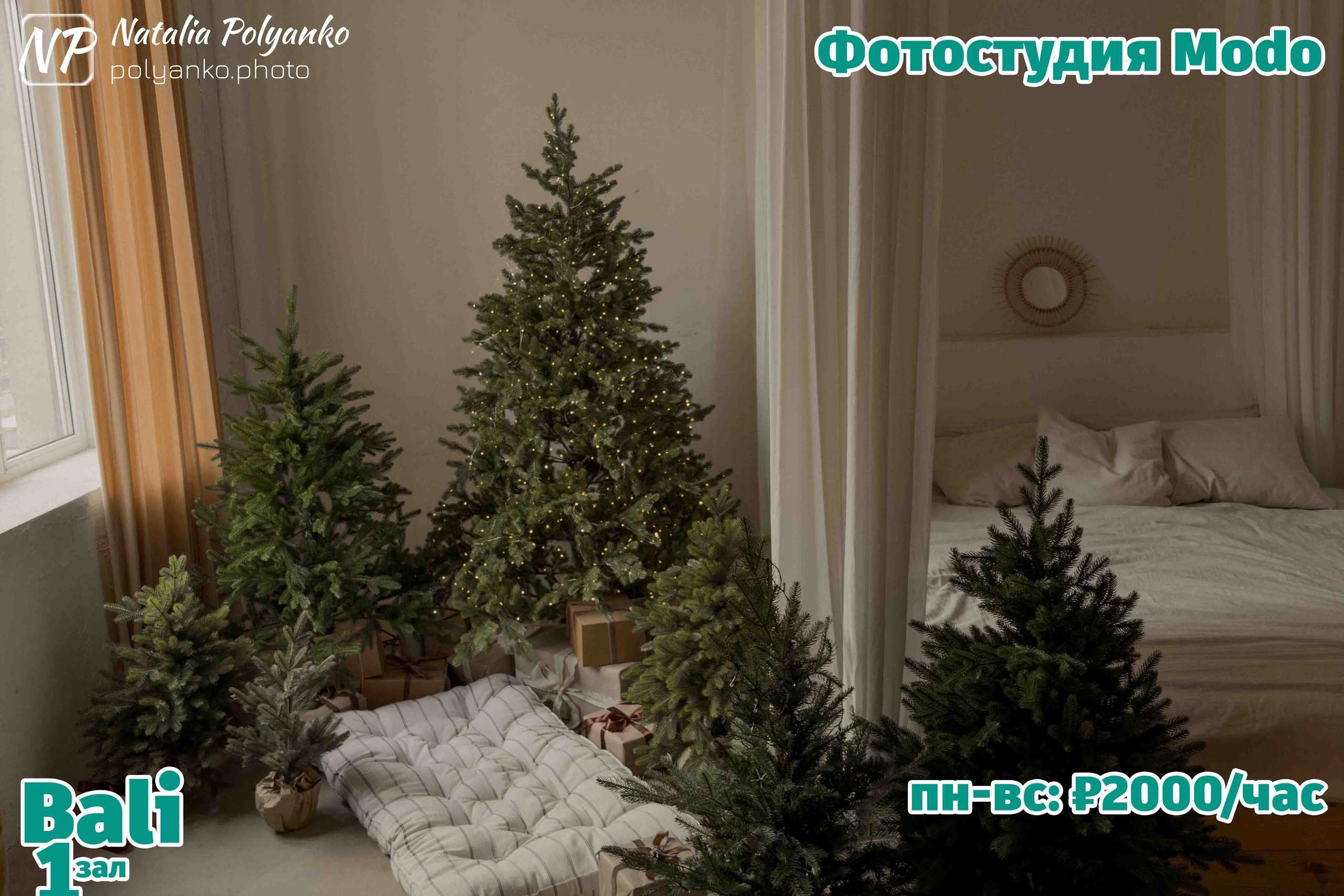 Новогодние интерьеры зала Bali (Бали) фотостудии Модо в Ростове