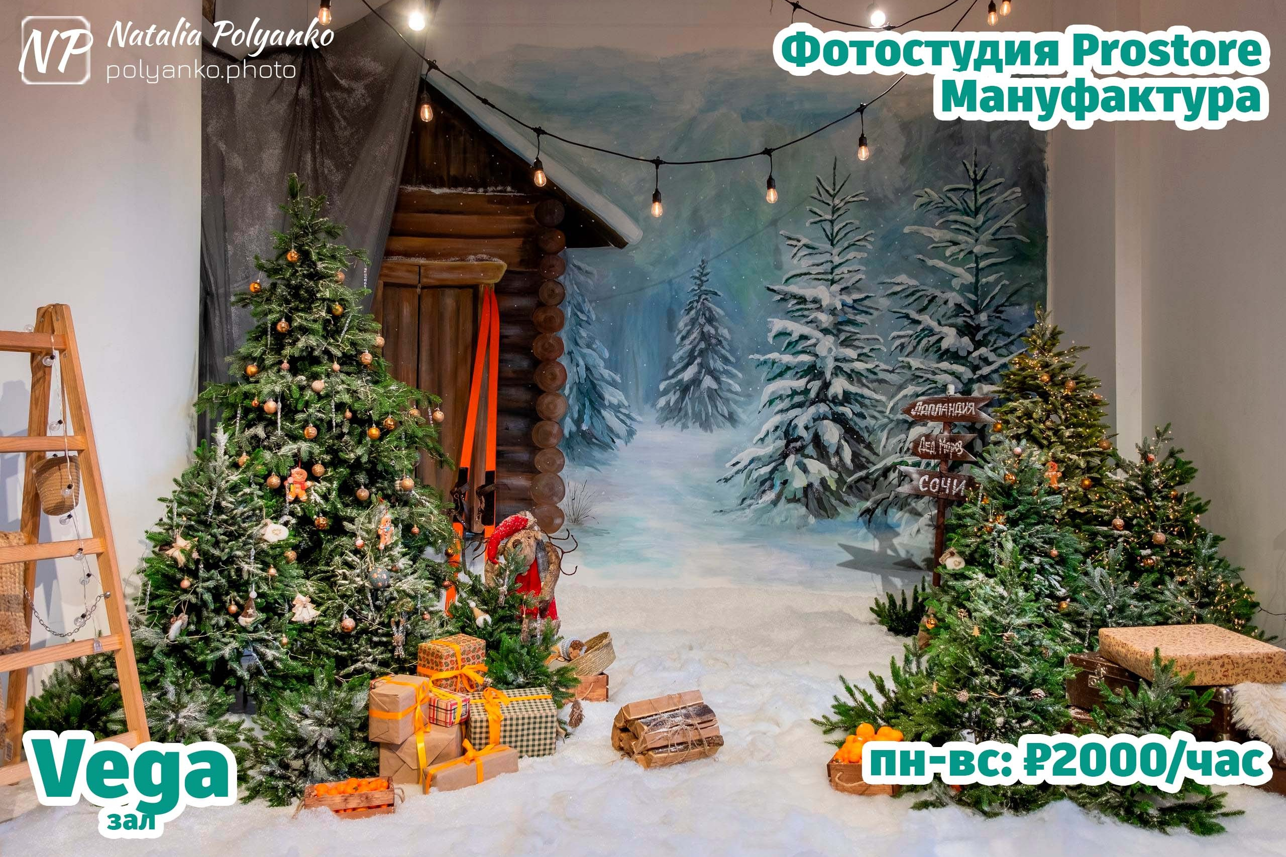 Vega (Вега) 50 м2