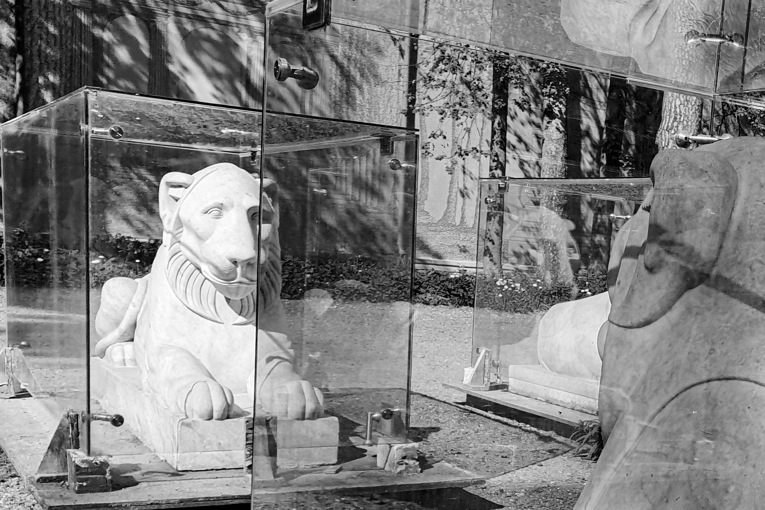 Динамика и статика в йоге. Фотография и счастье. Практики для качества жизни. Корчагина Татьяна — делюсь тем, что проверила на практике