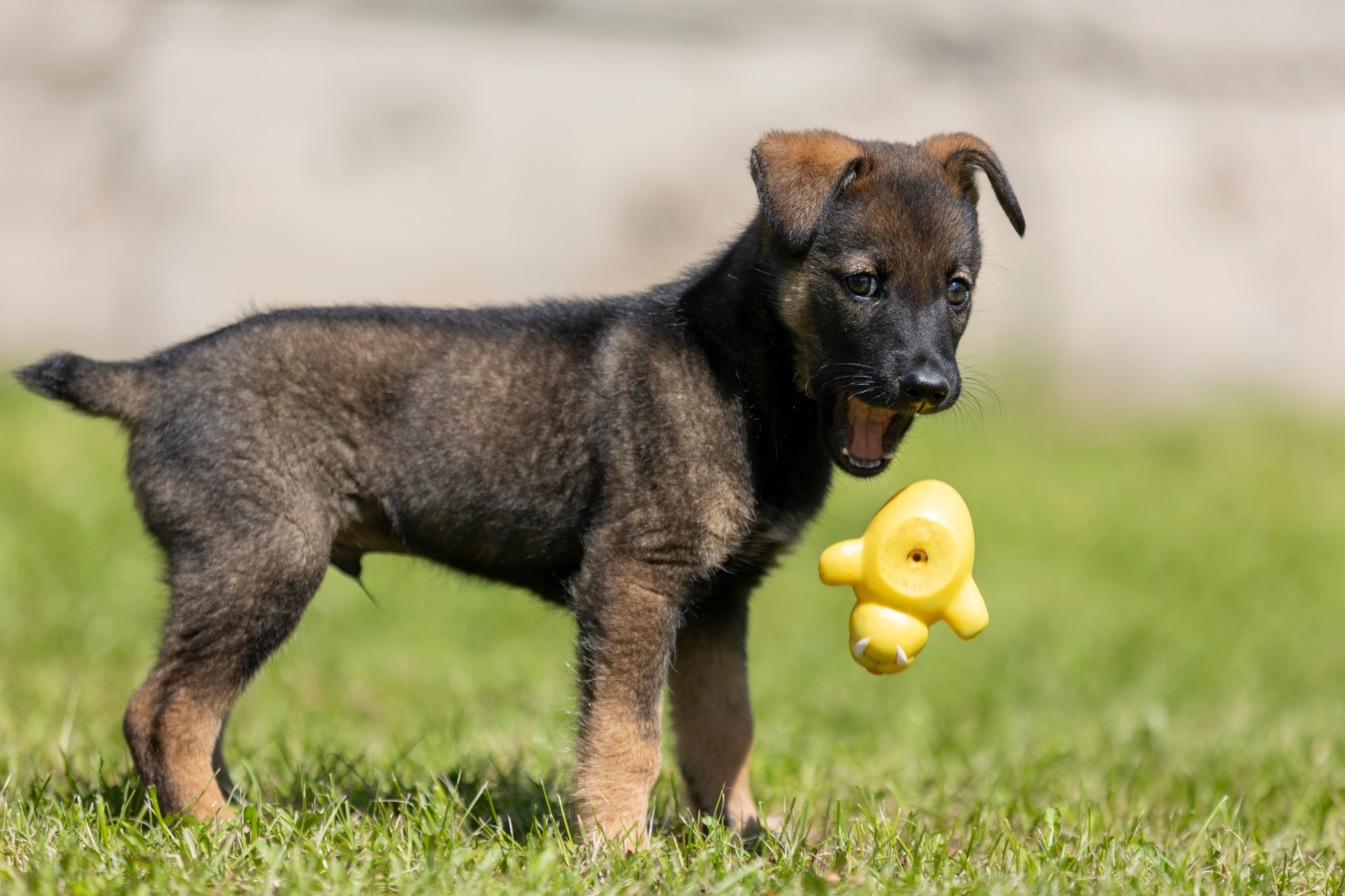 Фотограф-волонтер. Фотограф 📸 семейный, предметный, репортажный