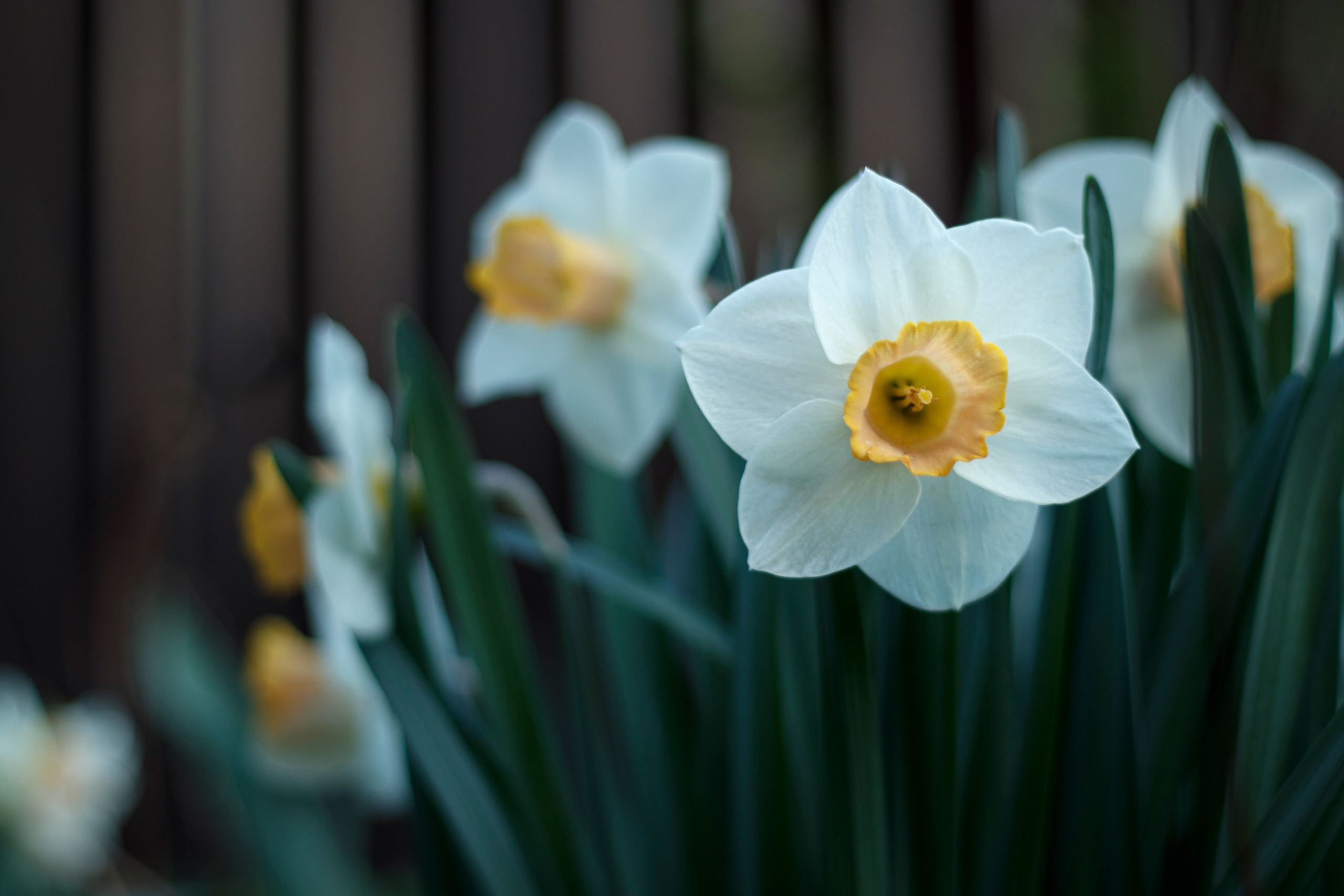 Политика Конфиденциальности