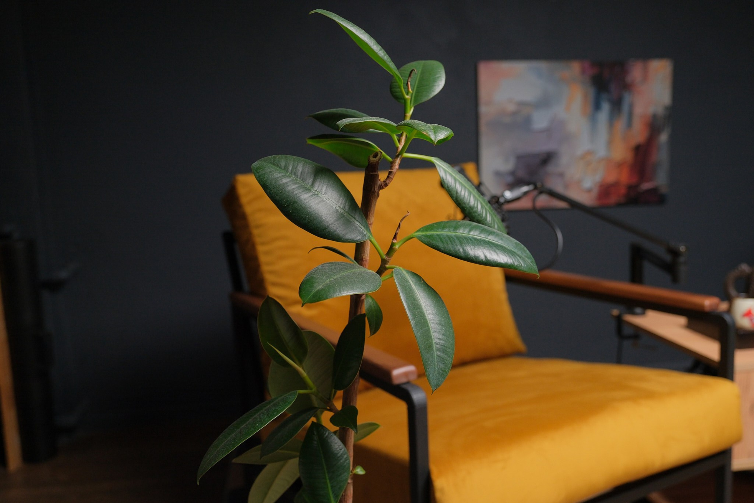 Видеооператор Юрий Глинкин