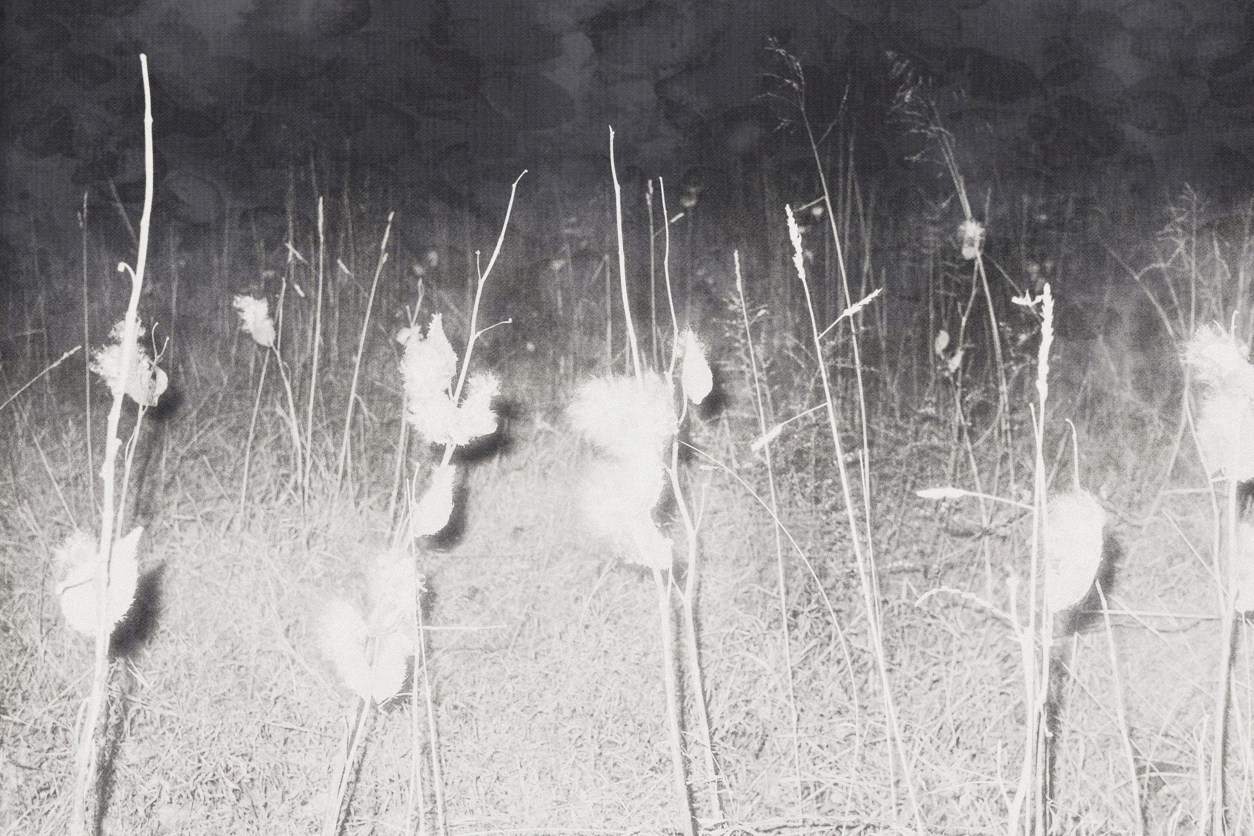 Книга из шорт-листа Dummy Award 2024 — «Seeing Against Seeing» Алексея Юренева. Private image