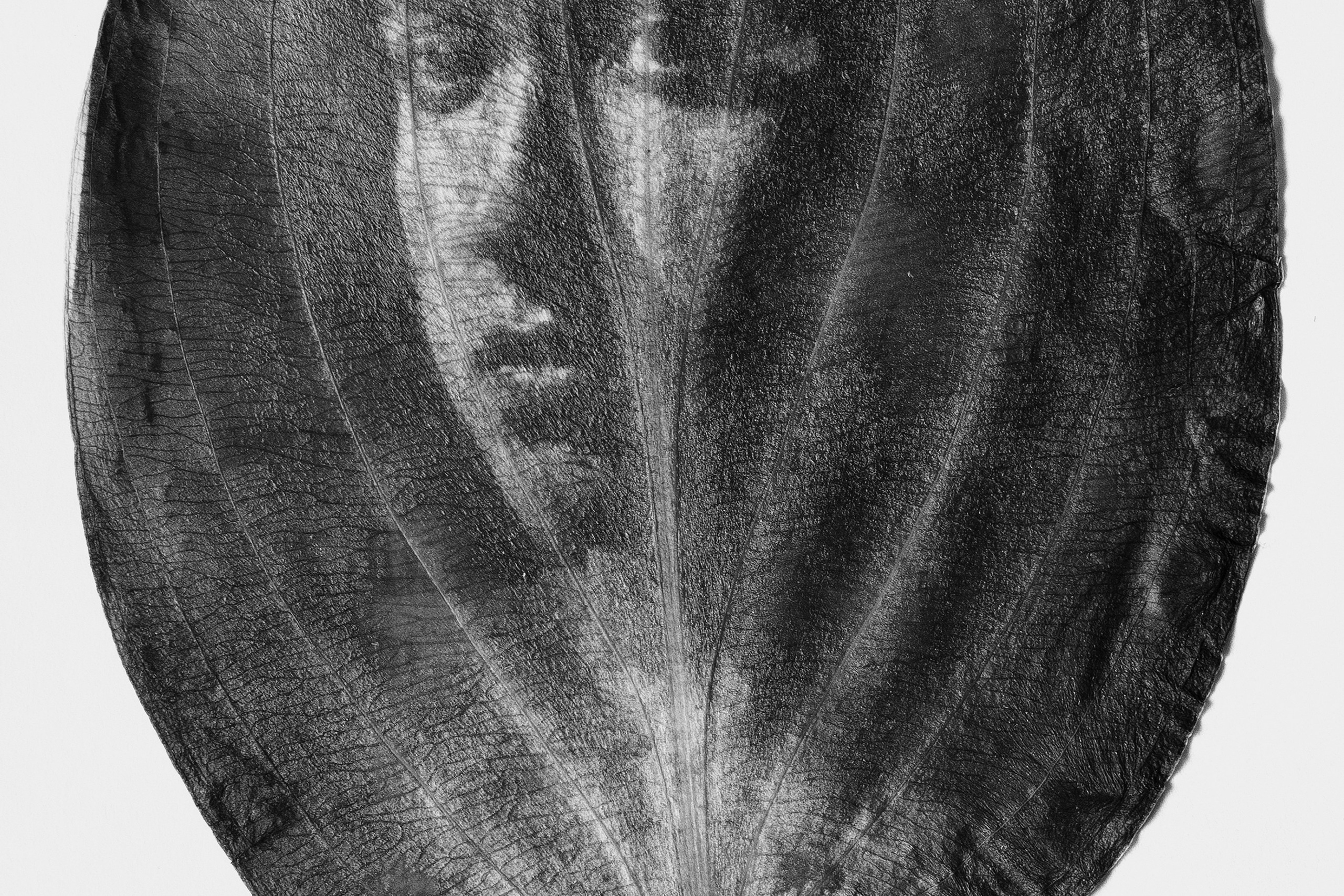 Фотошкола Натальи Жуковой