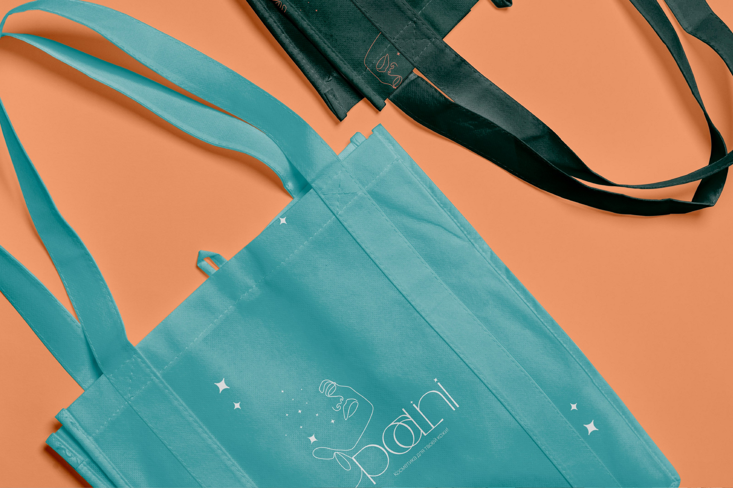 POALINI | Бренд косметики г. Москва. ANNSOUL — графический и brand — дизайнер