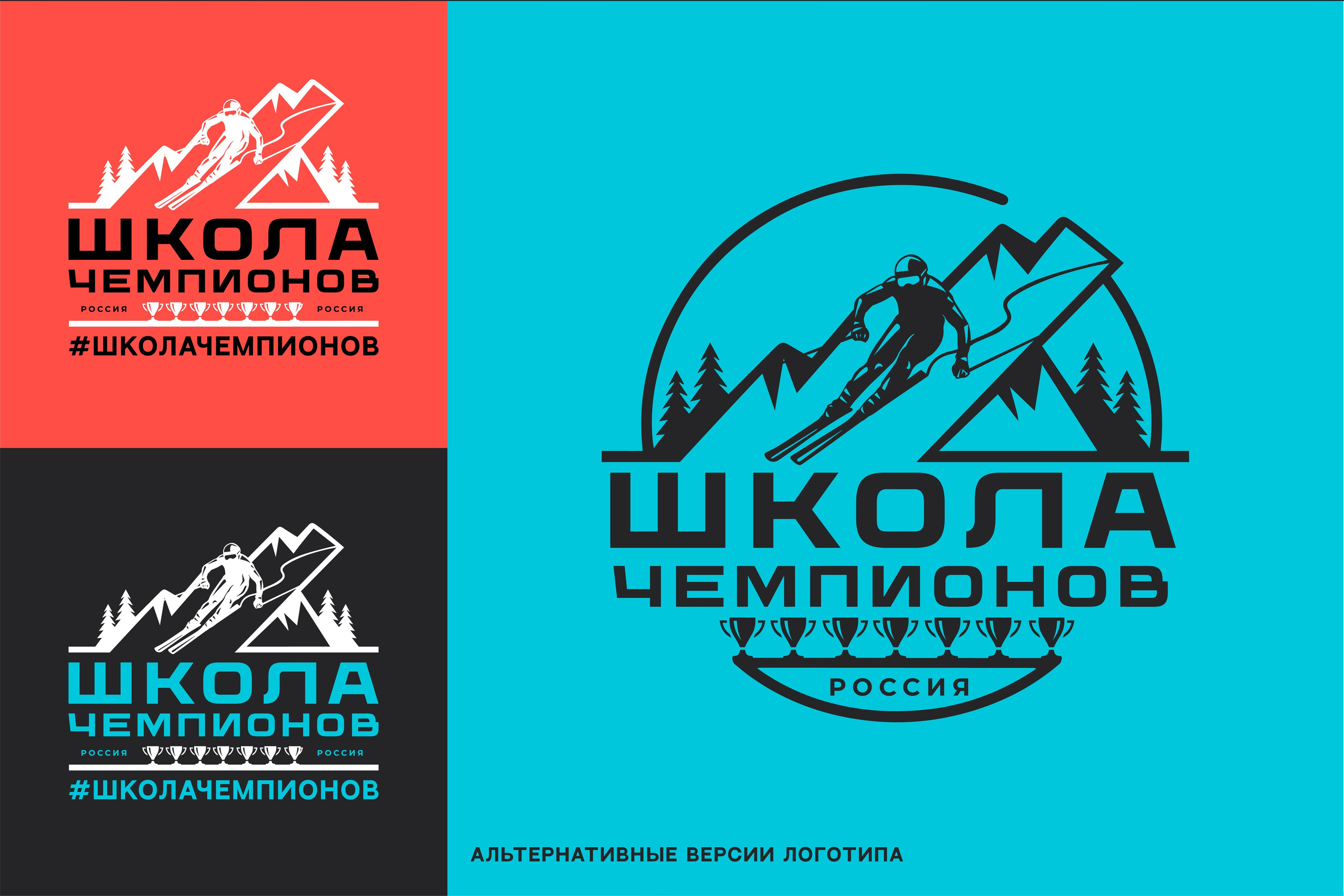 ШКОЛА ЧЕМПИОНОВ | Частная горнолыжная школа в Сочи. ANNSOUL — графический и brand — дизайнер