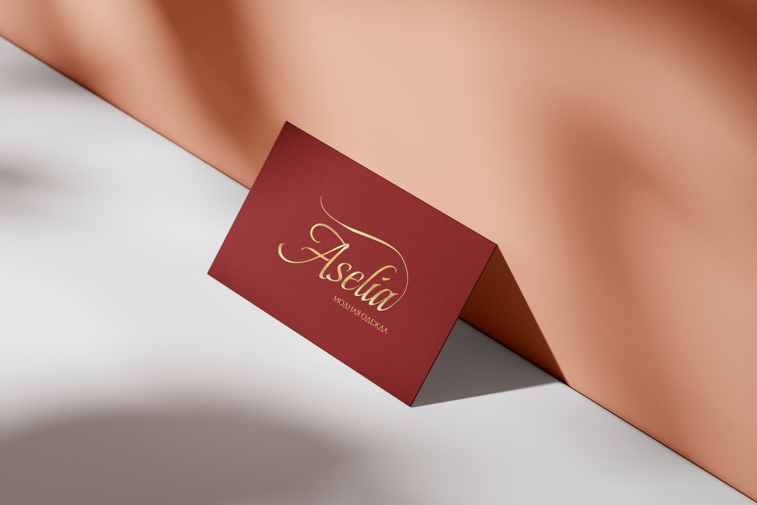 ASELIA | Модная женская одежда в Москве. ANNSOUL — графический и brand — дизайнер