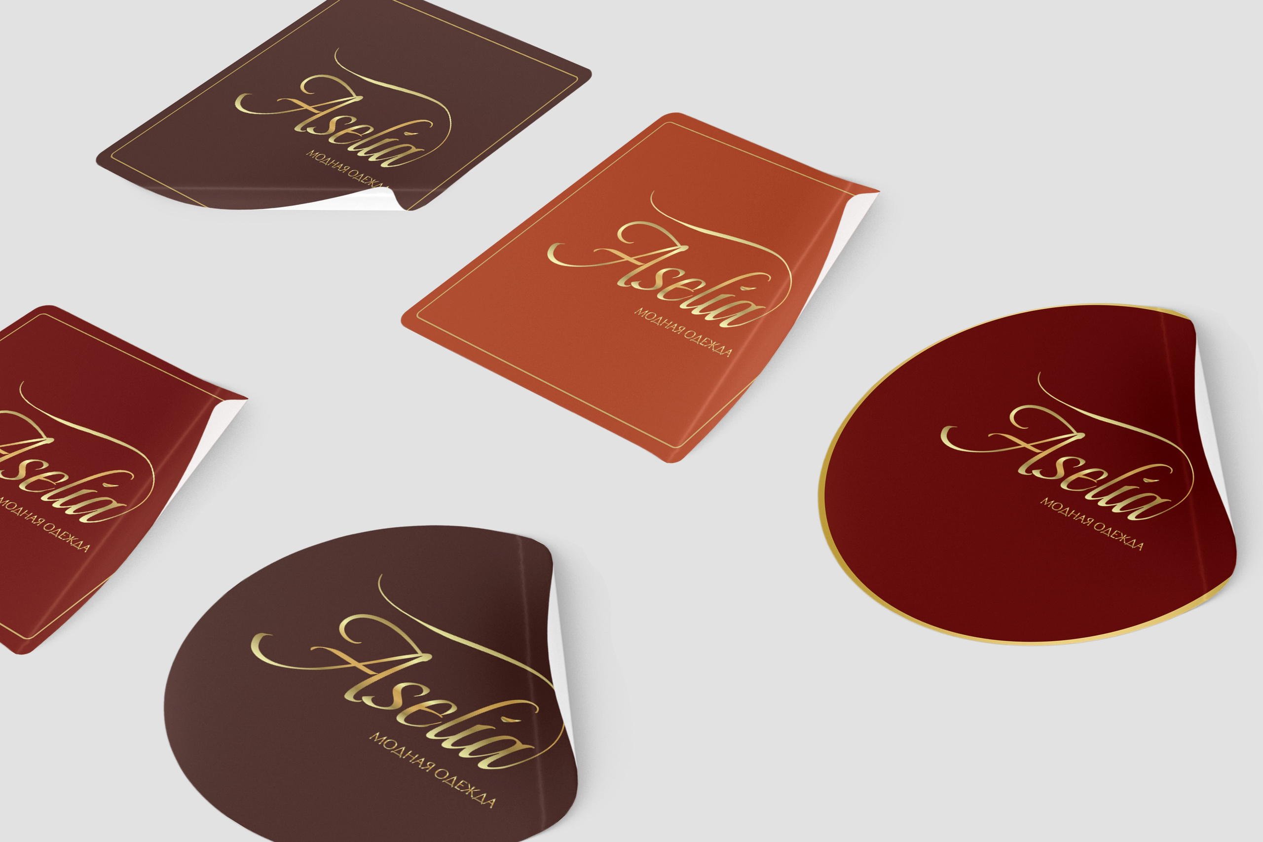 ASELIA | Модная женская одежда в Москве. ANNSOUL — графический и brand — дизайнер