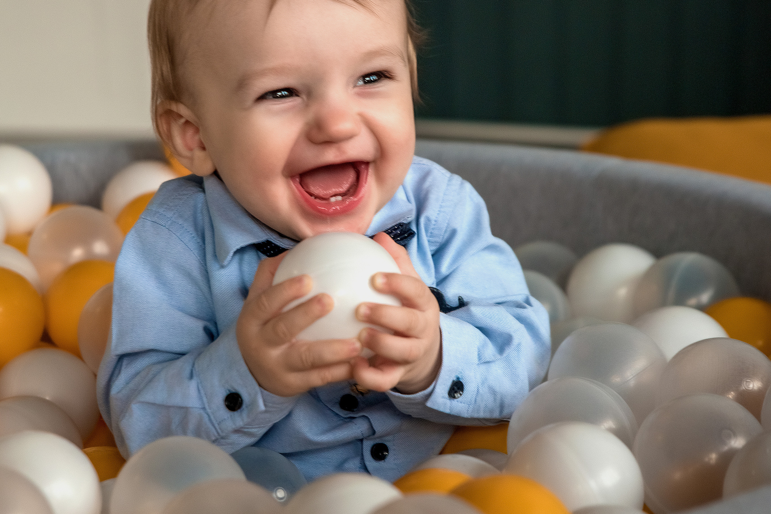 СТЕПКЕ 1 год