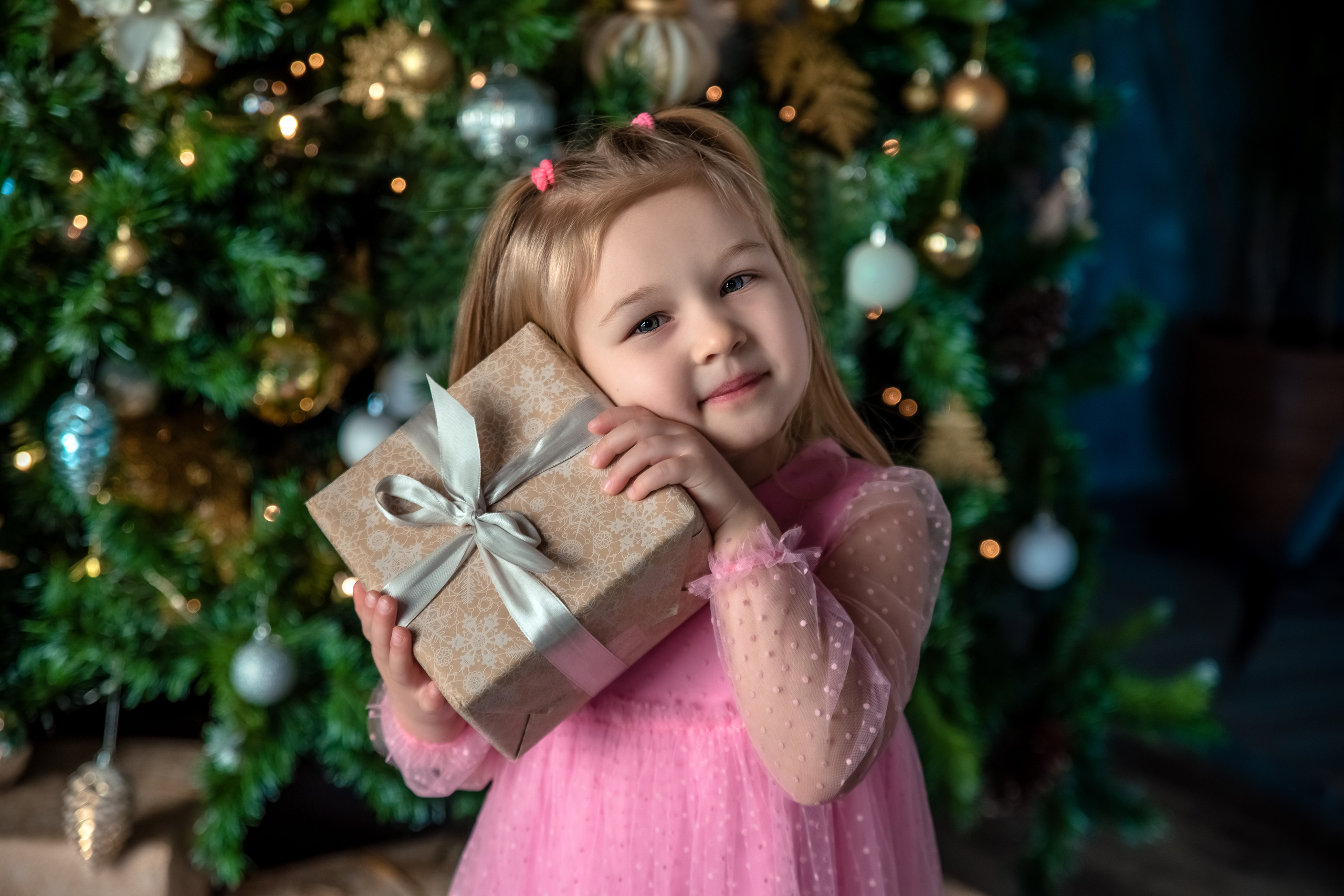 Ариша и ее семья