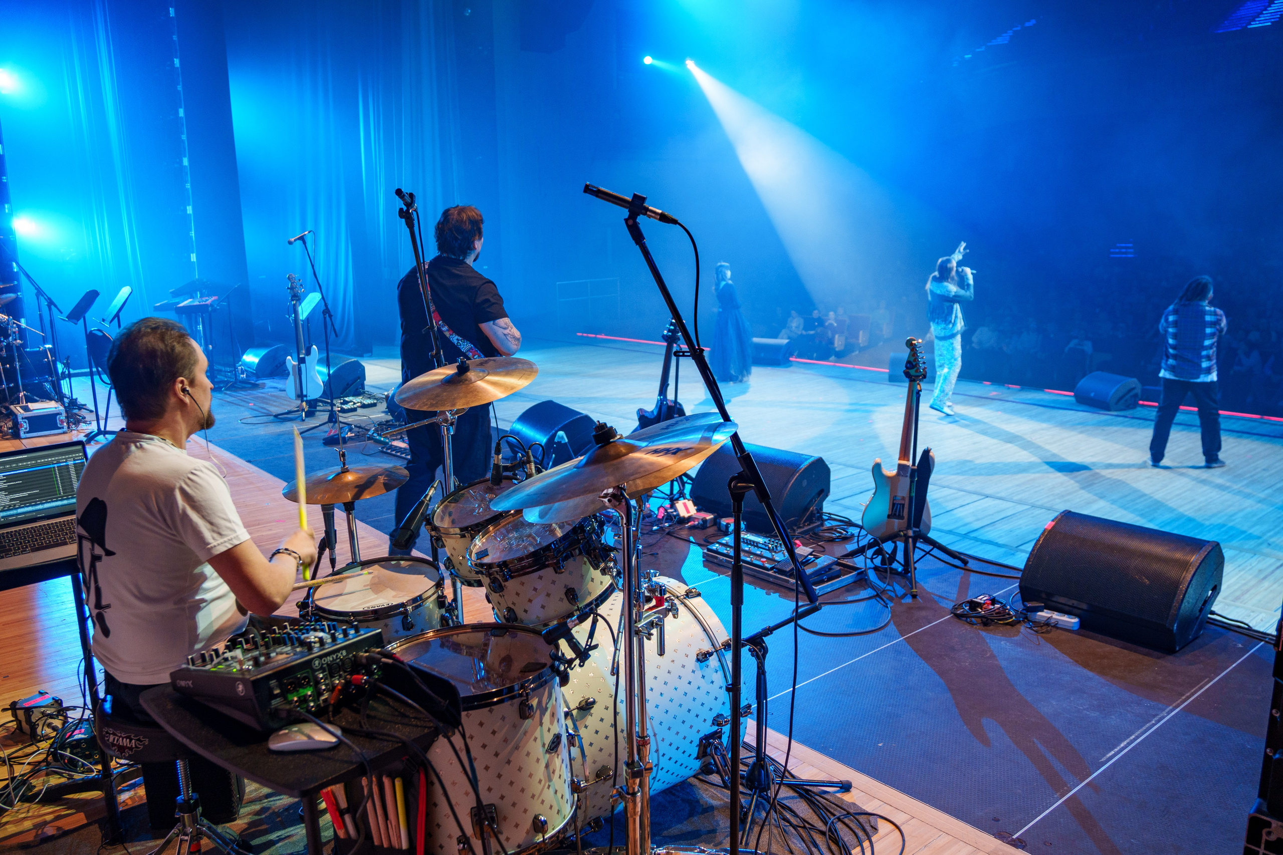 Снегирь. Донеал Скнарь — концертный фотограф