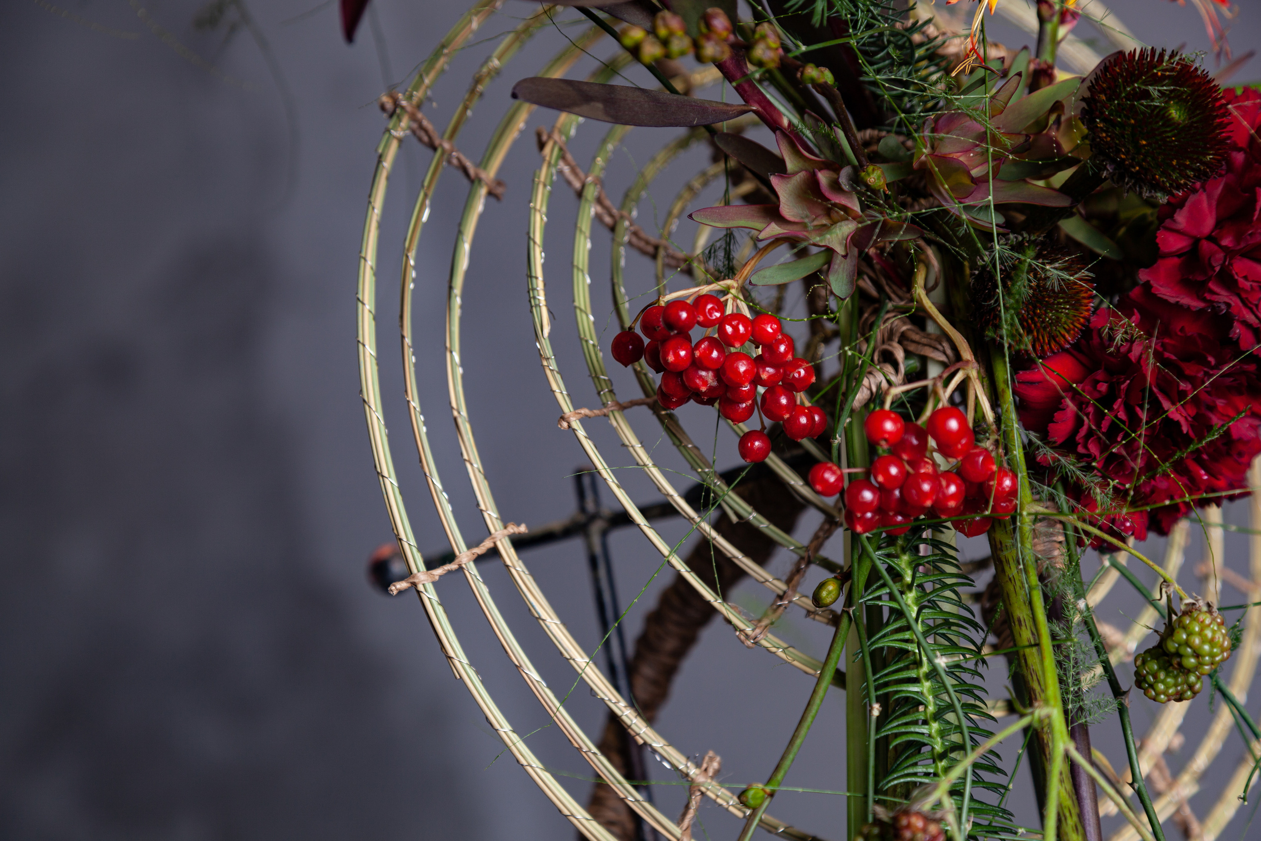 Работы Минько Олеси, сессия Мастеров в школе «Николь». Maria Poleshchuk, commercial photographer in Sydney