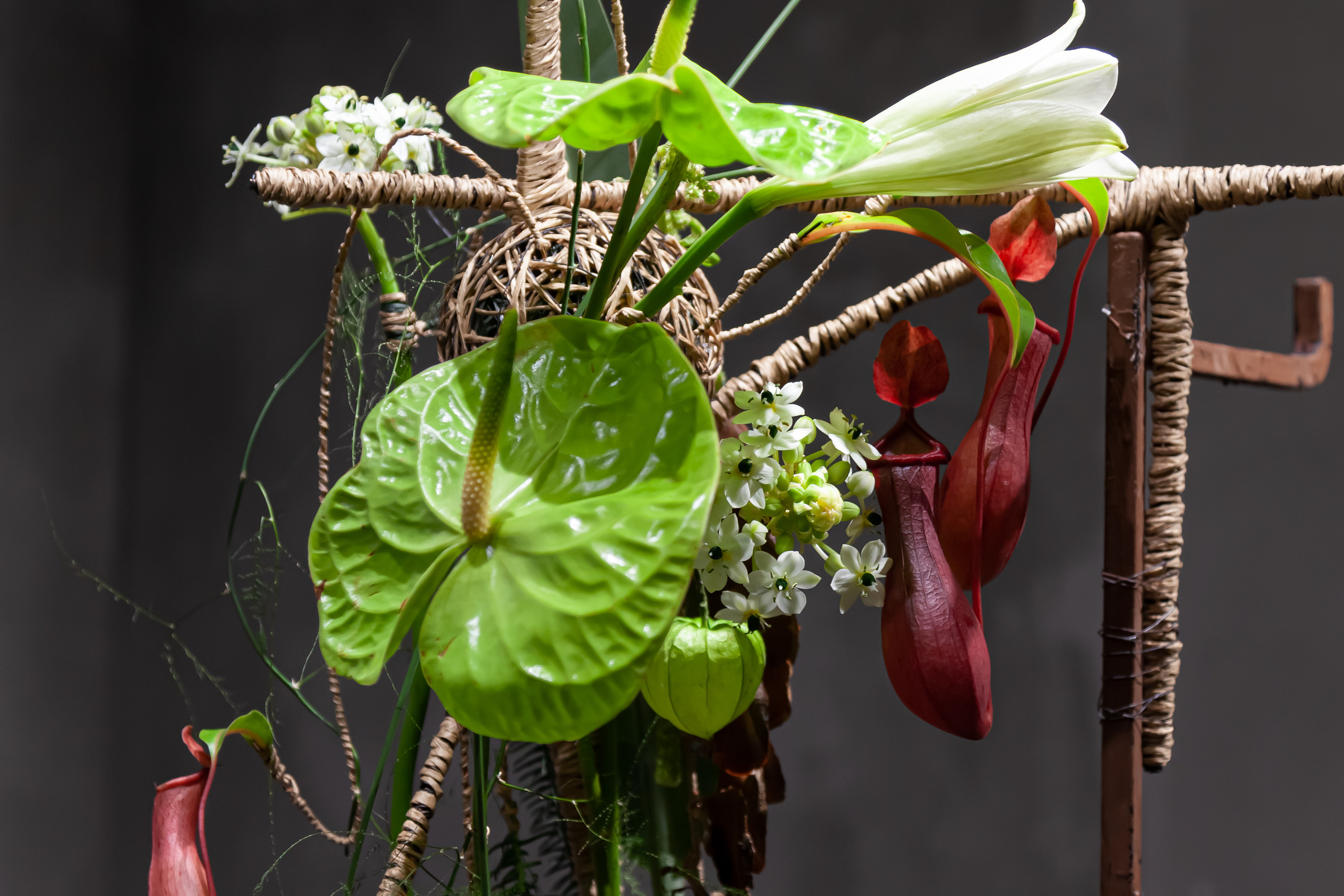 Работы Минько Олеси, сессия Мастеров в школе «Николь». Maria Poleshchuk, commercial photographer in Sydney