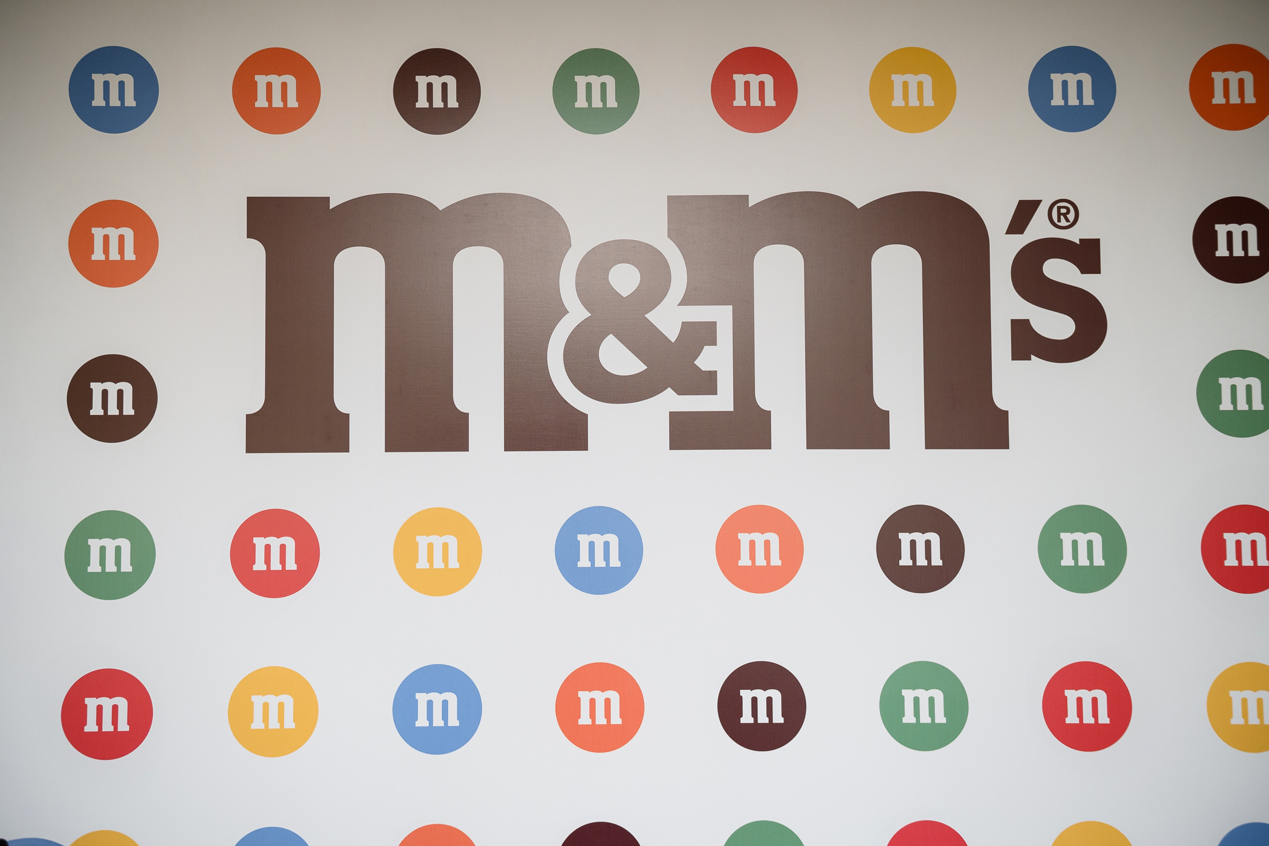 Корпоративное Портфолио. Фотограф Микита Ласица