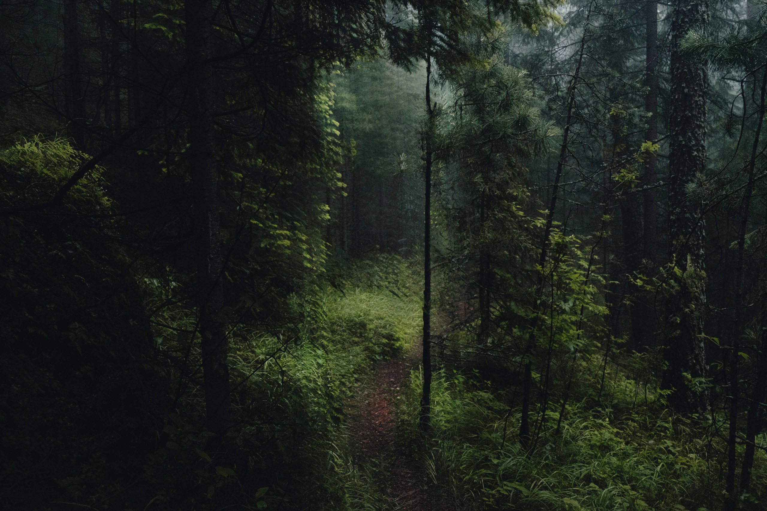 Край причудливых скал. Элина Гусарова