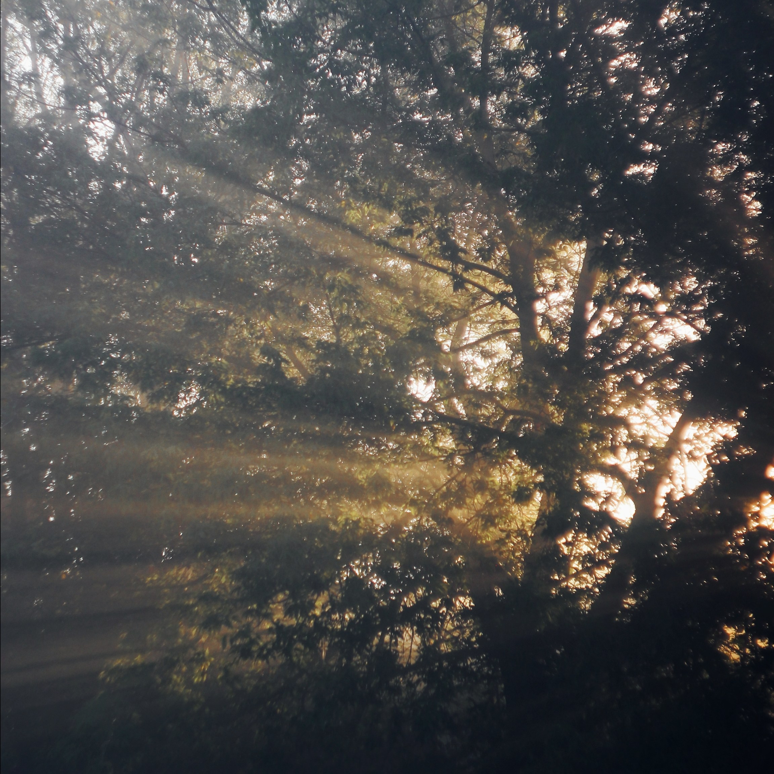 Опустошенность. С любовью, фотохудожник