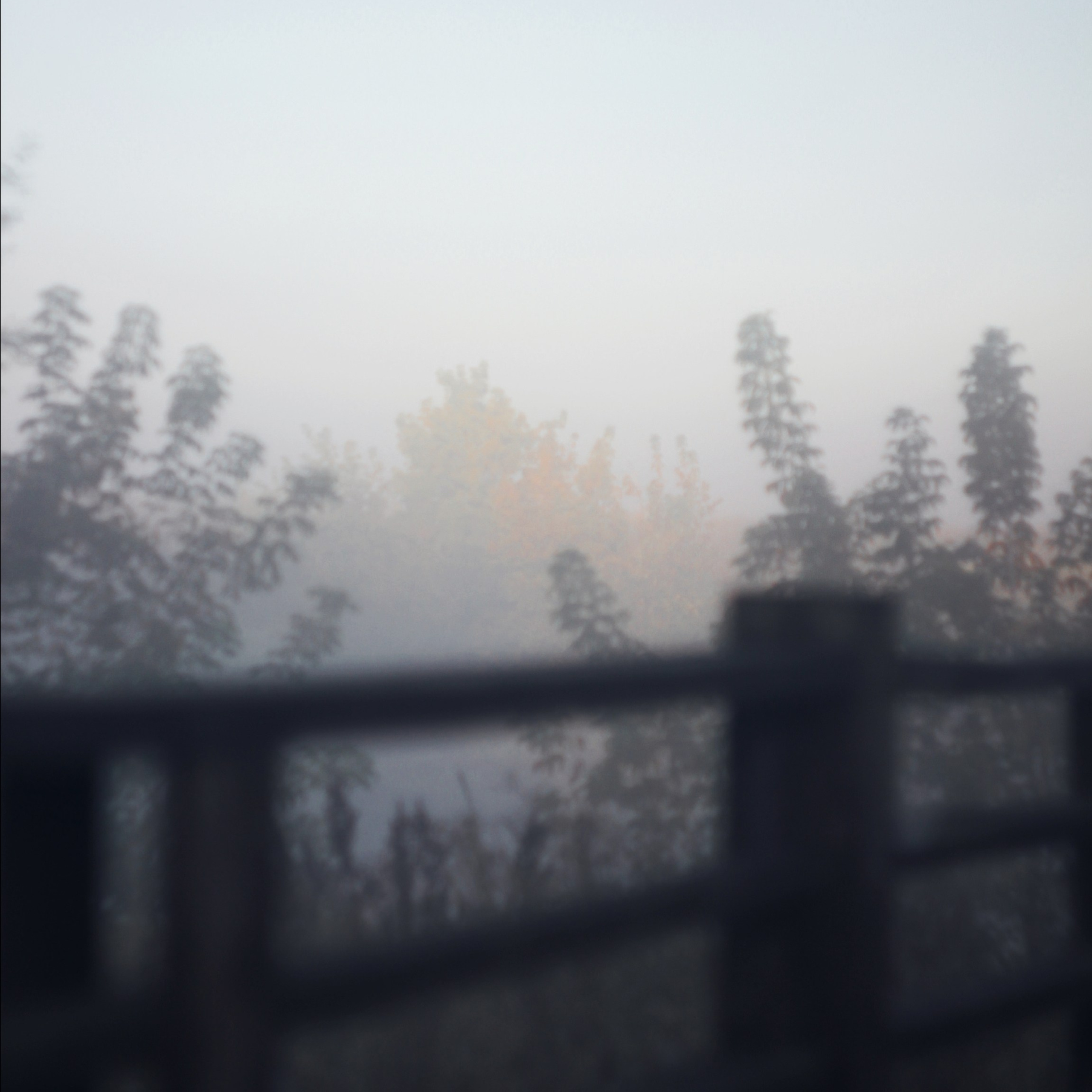 Опустошенность. С любовью, фотохудожник