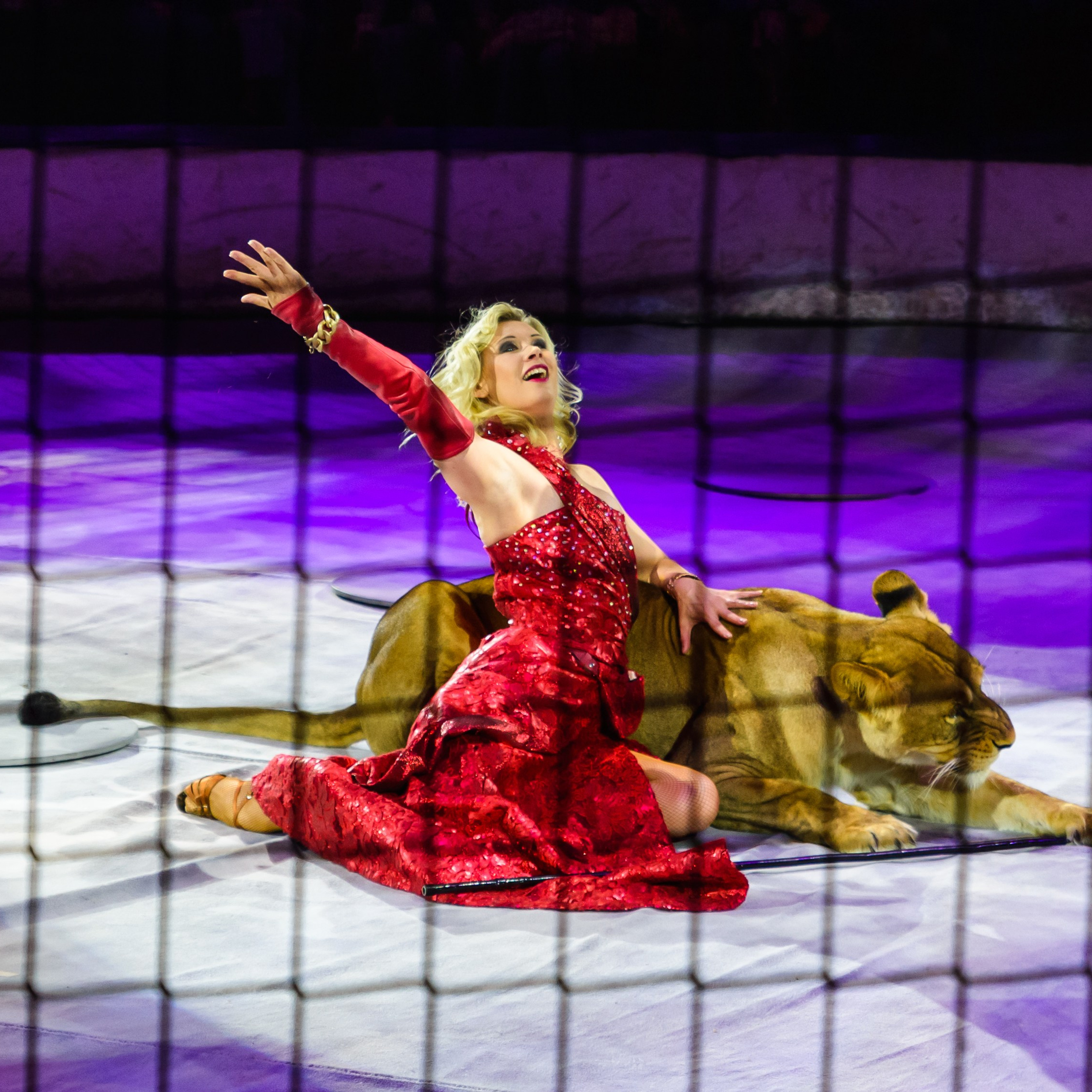 Пермский государственный цирк