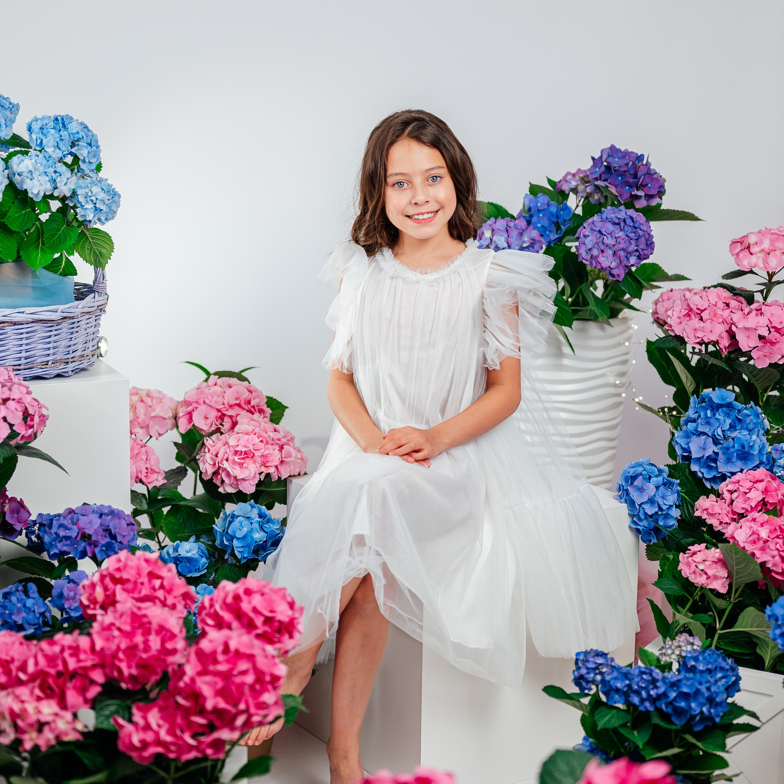 Вероника и гортензии