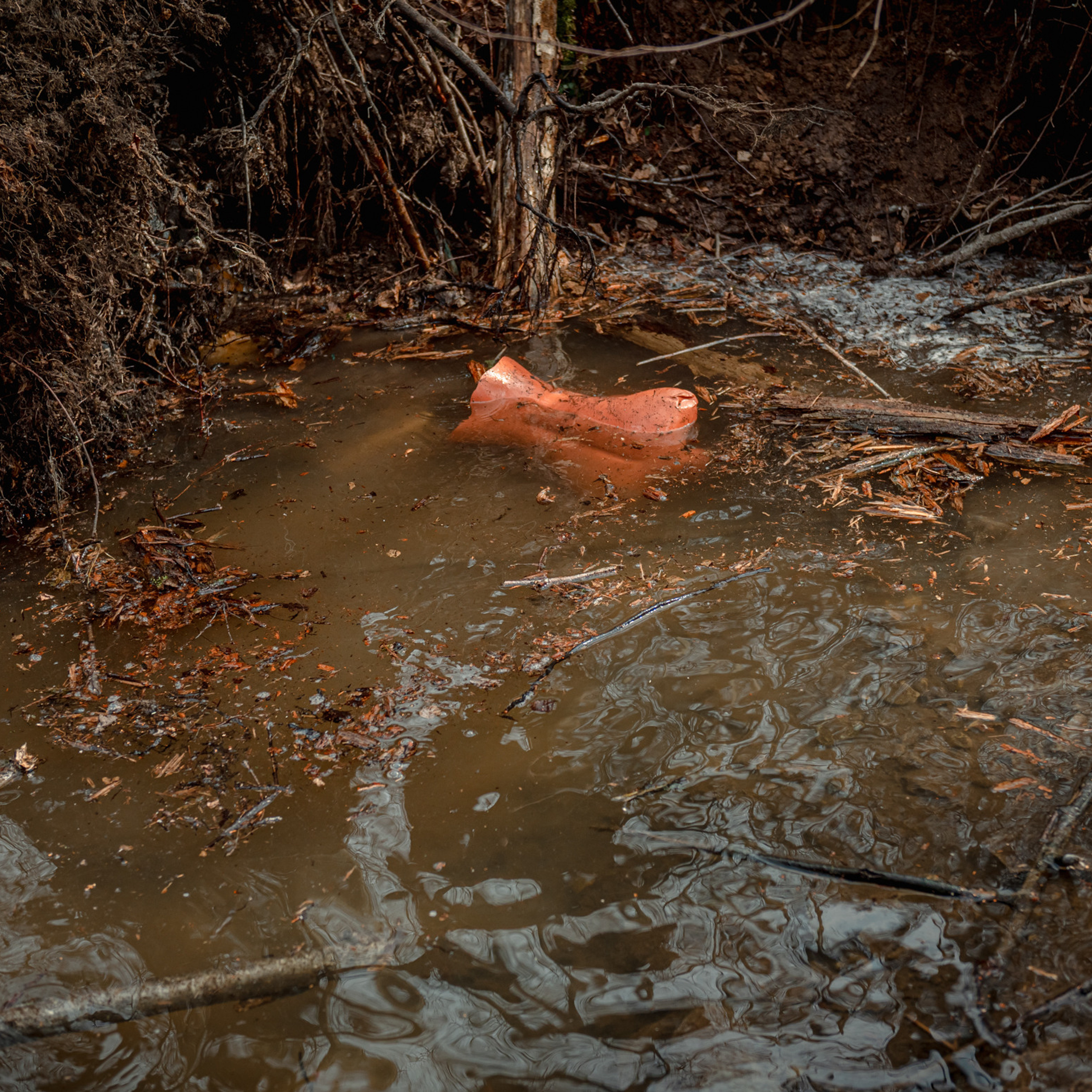 Соревнования