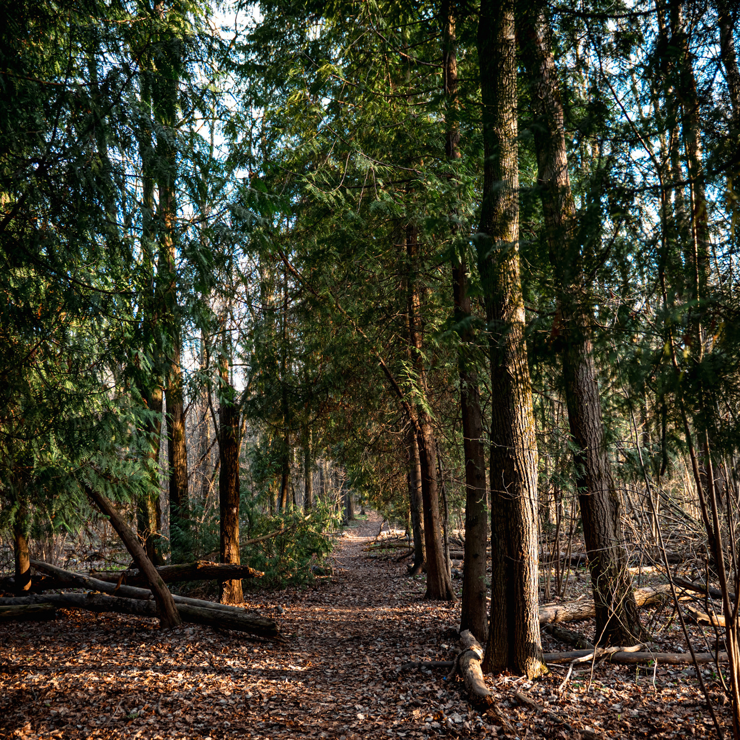 Соревнования