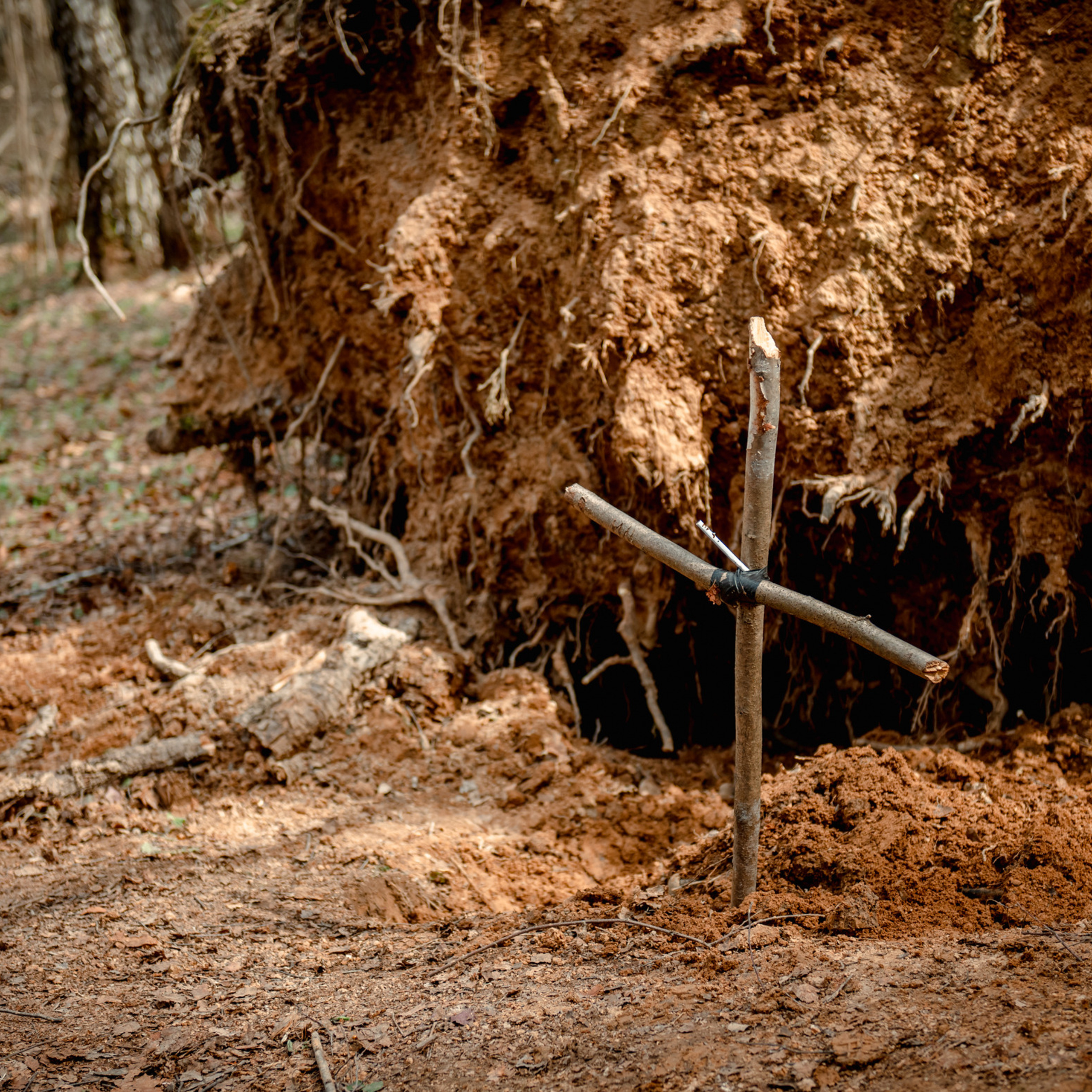 Соревнования