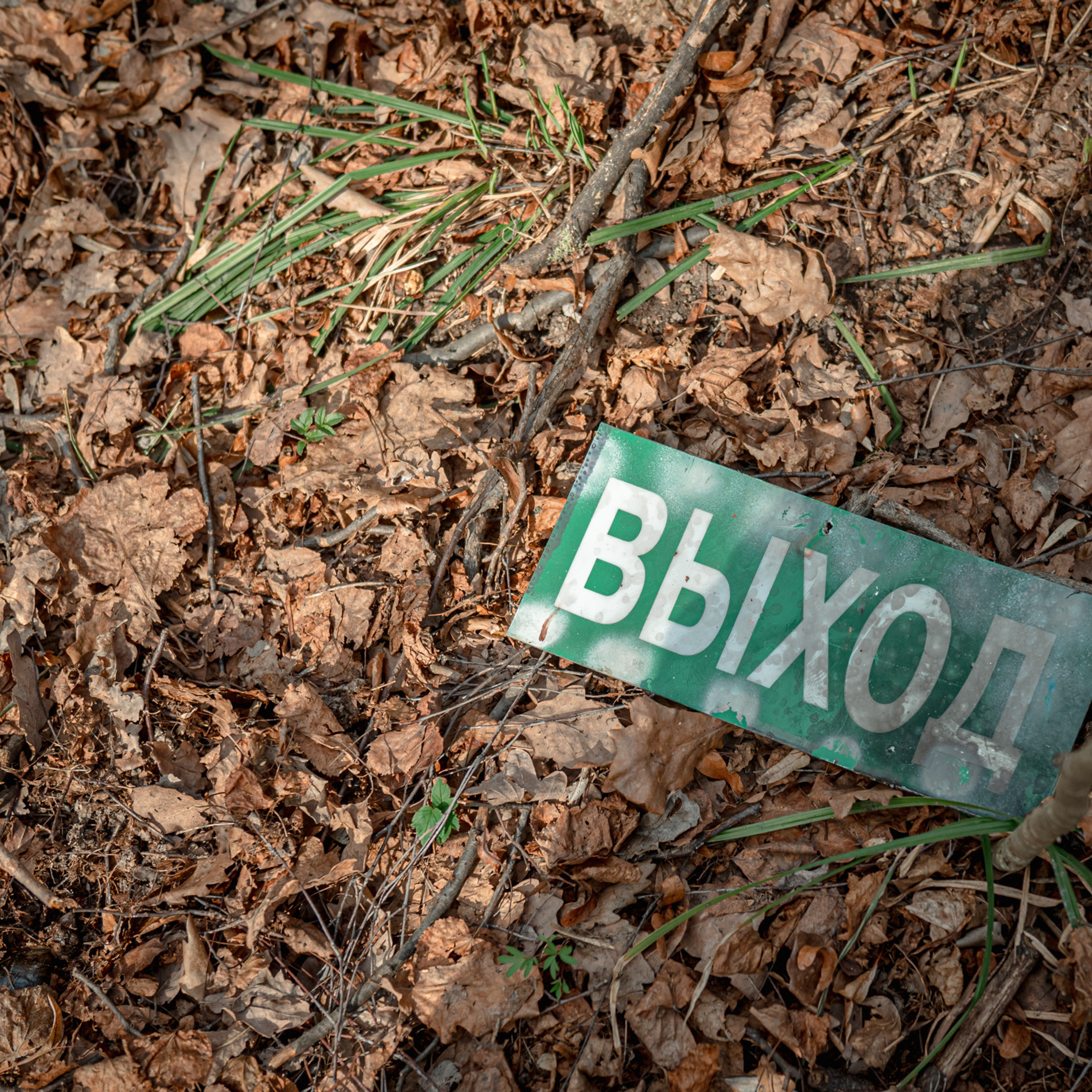 Соревнования