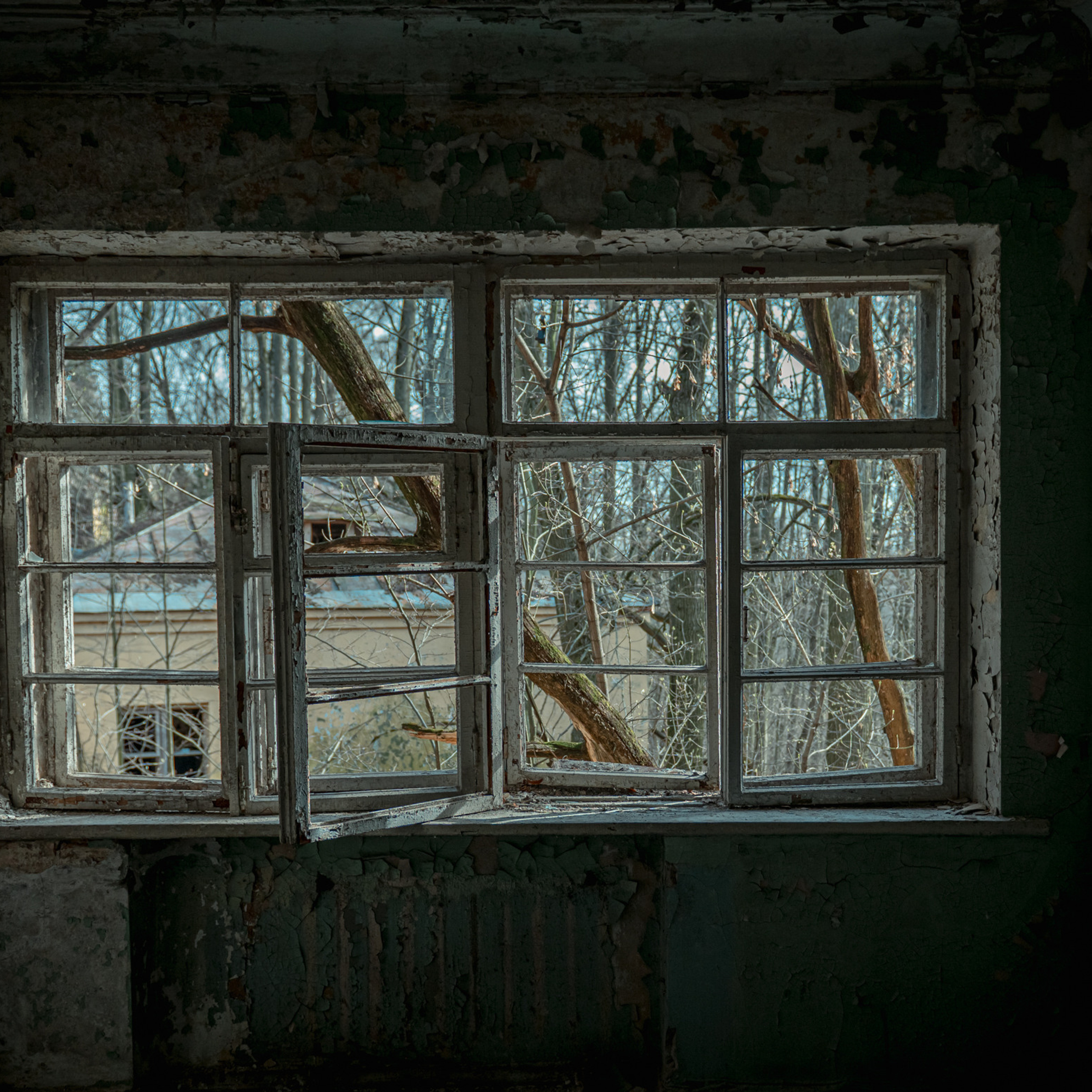 Соревнования