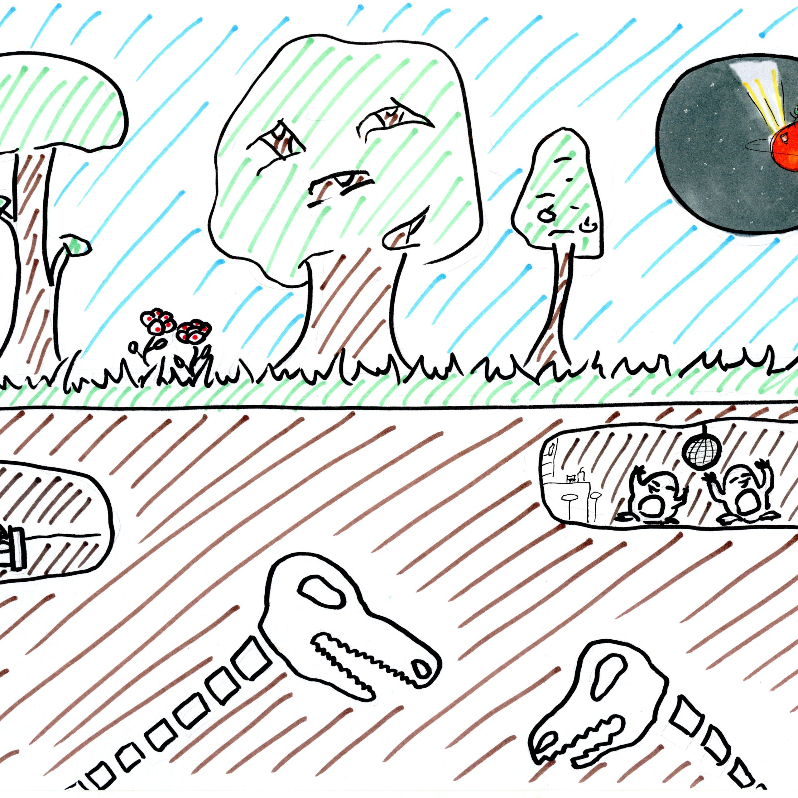 Преподаватель. Личный сайт. Анастасия Башмакова