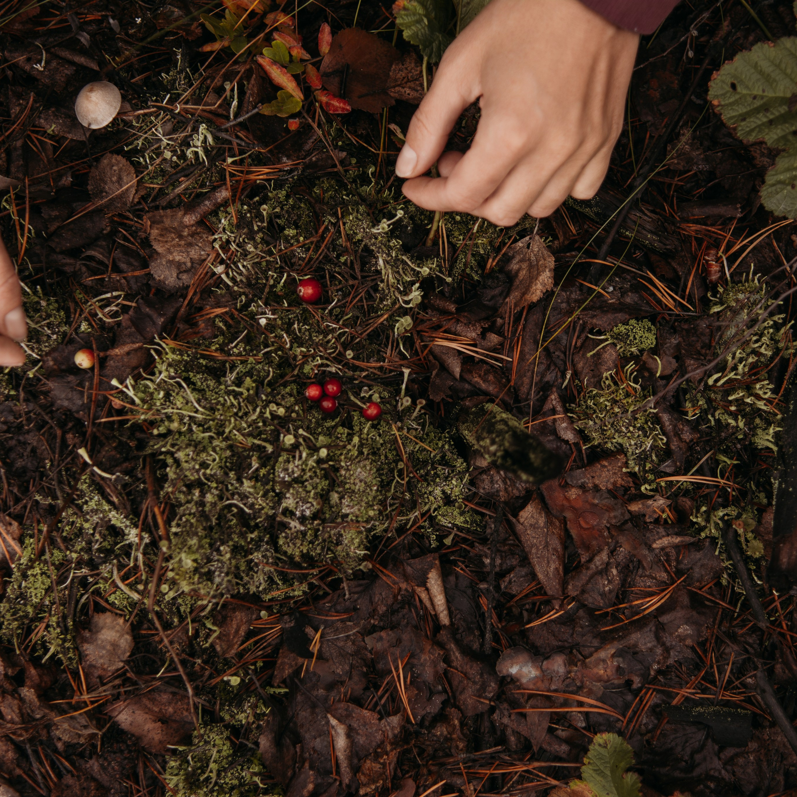Семейный фотограф в Екатеринбурге Всеволод и Марина Пономаревы