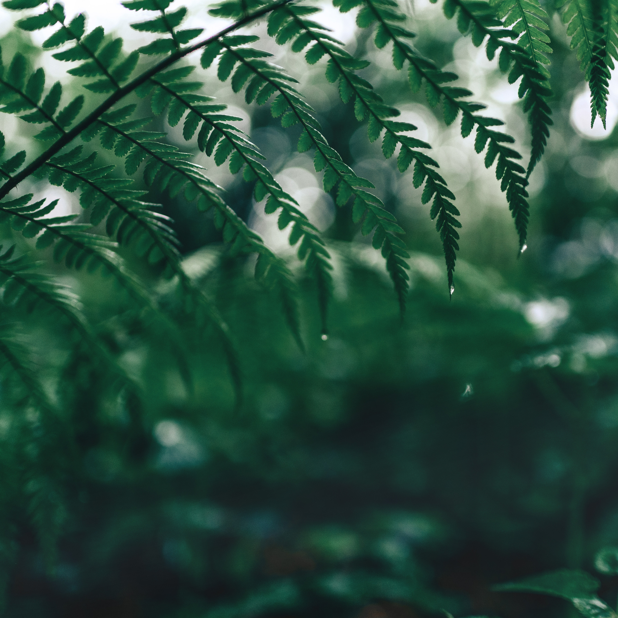 Некоммерческое. Профессиональный фотограф в Москве