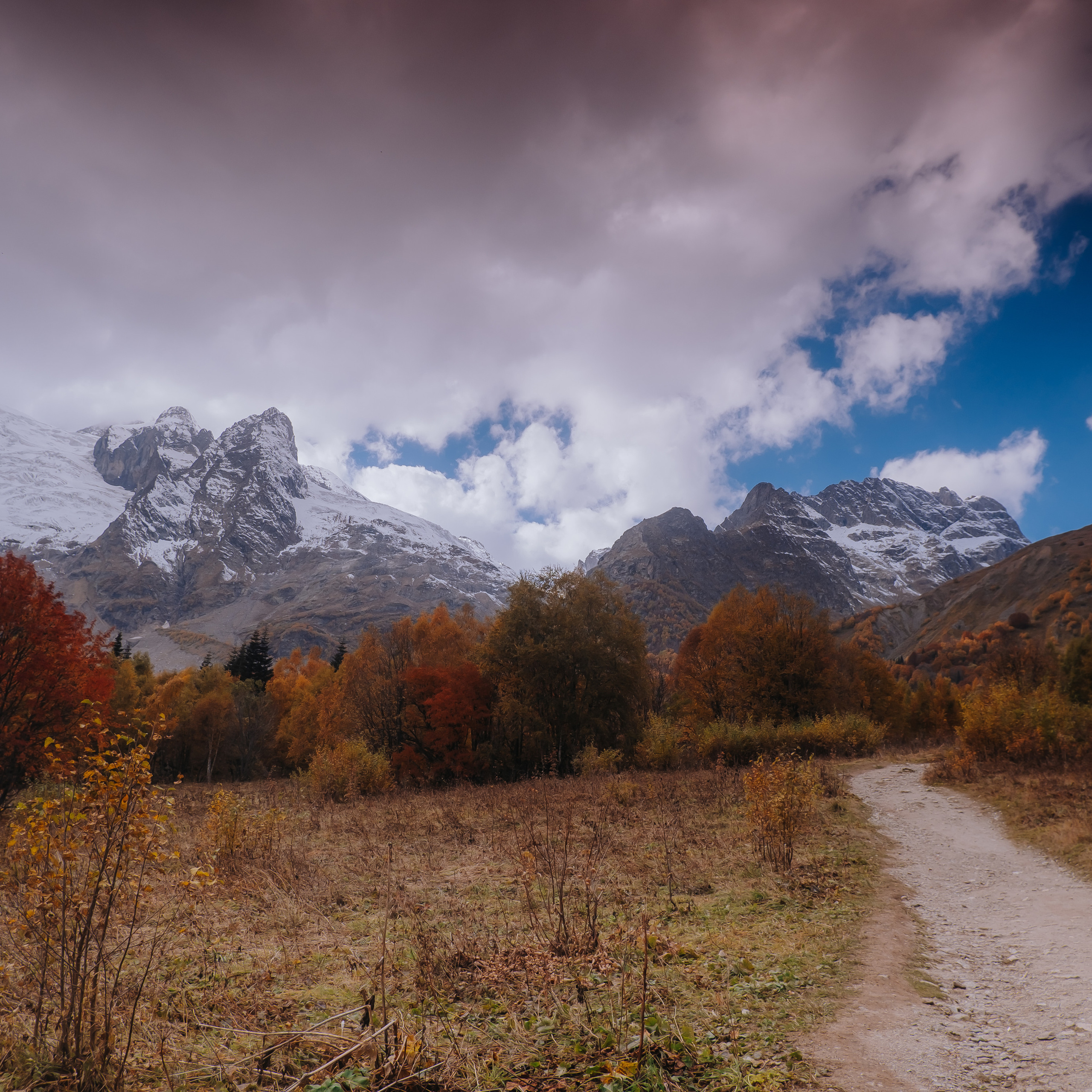 КМВ (октябрь 2021)