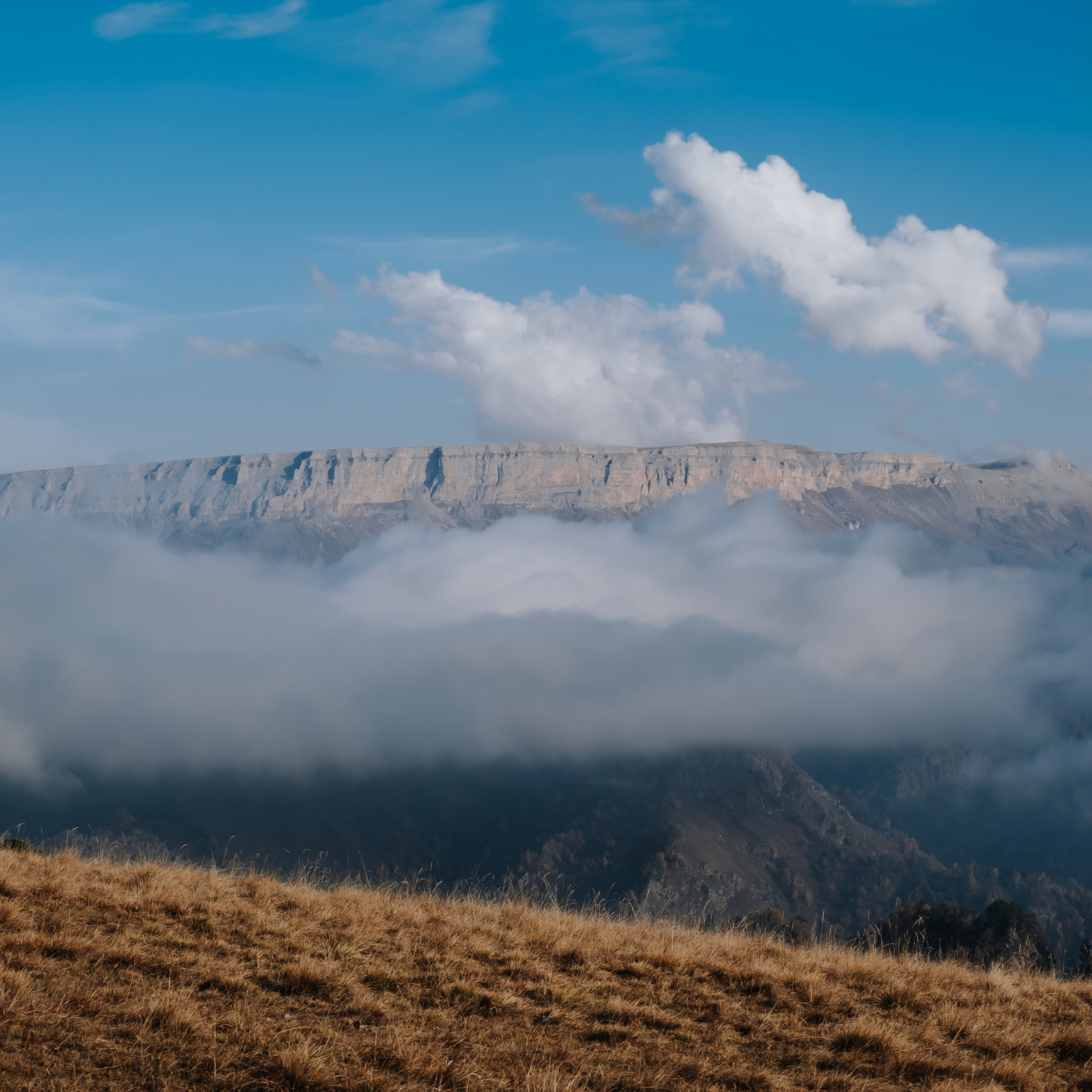 КМВ (октябрь 2021)