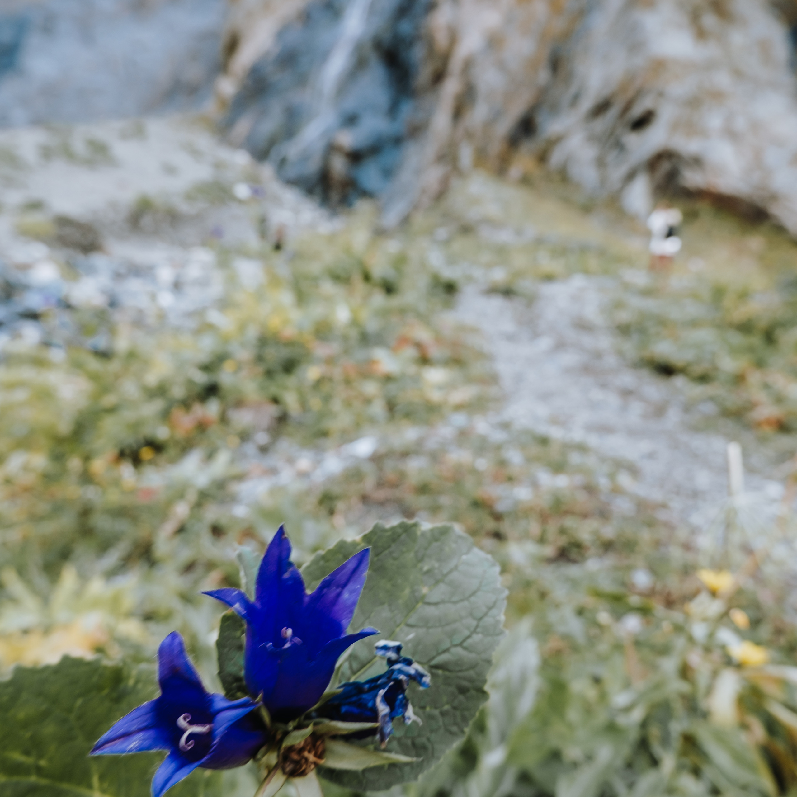 КМВ (октябрь 2021)