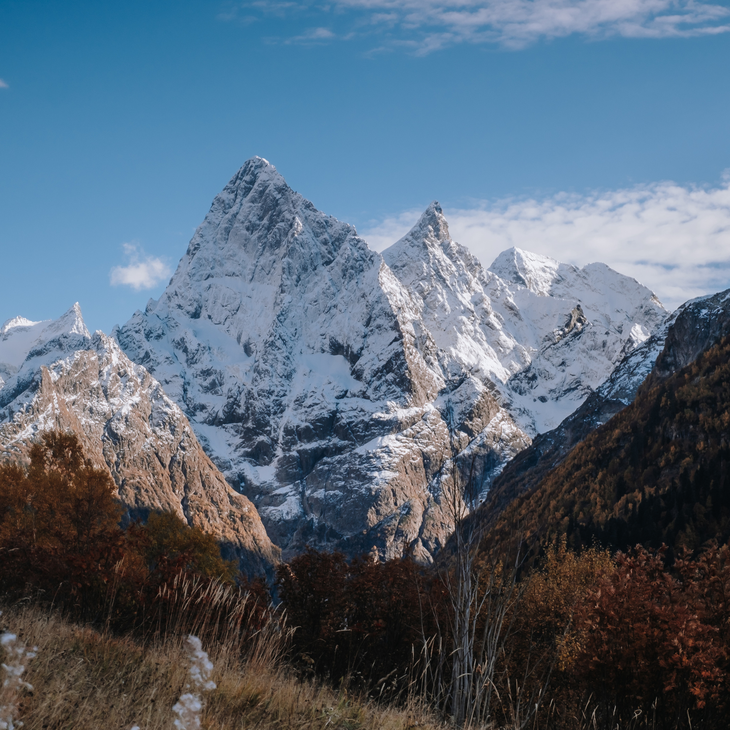 КМВ (октябрь 2021)