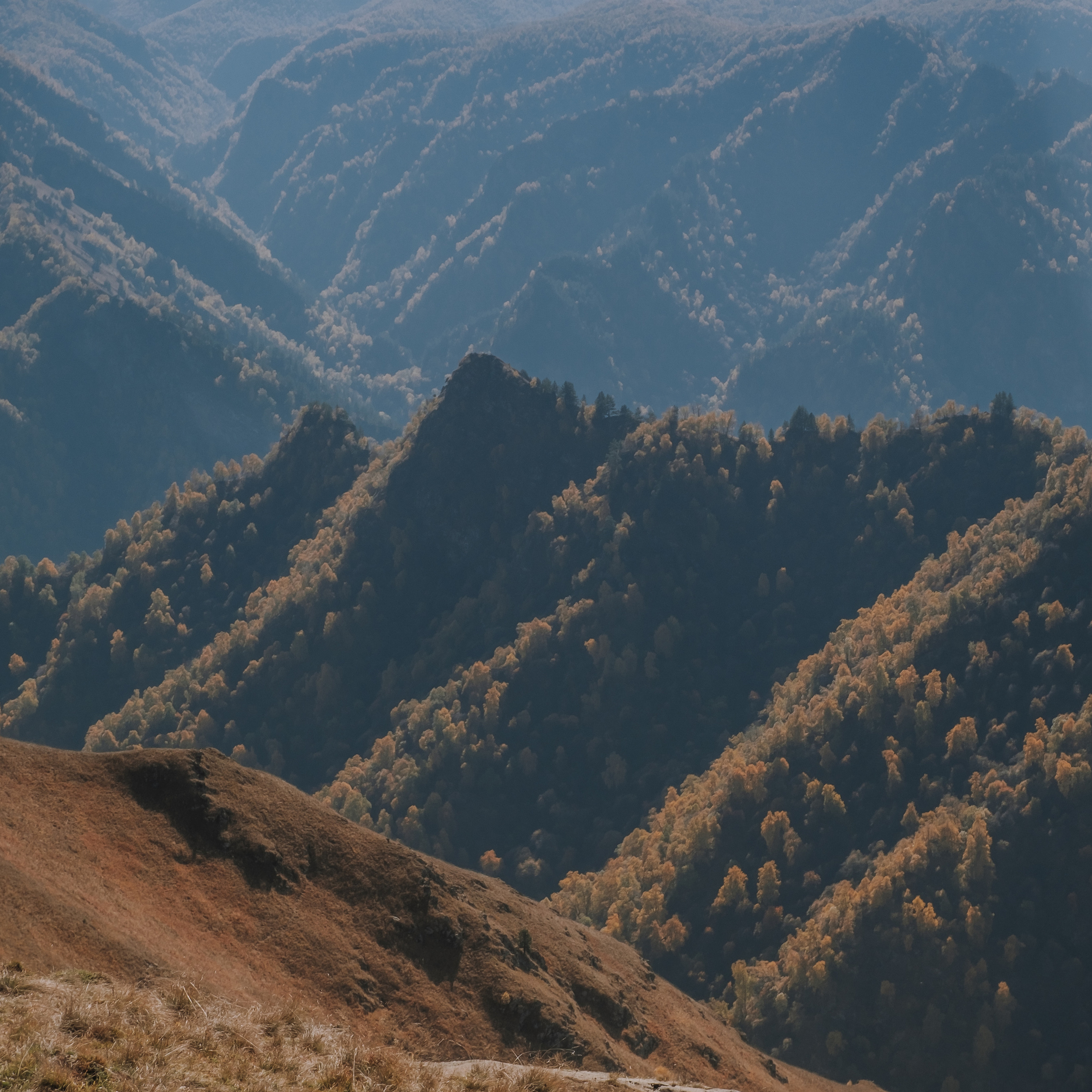 КМВ (октябрь 2021)