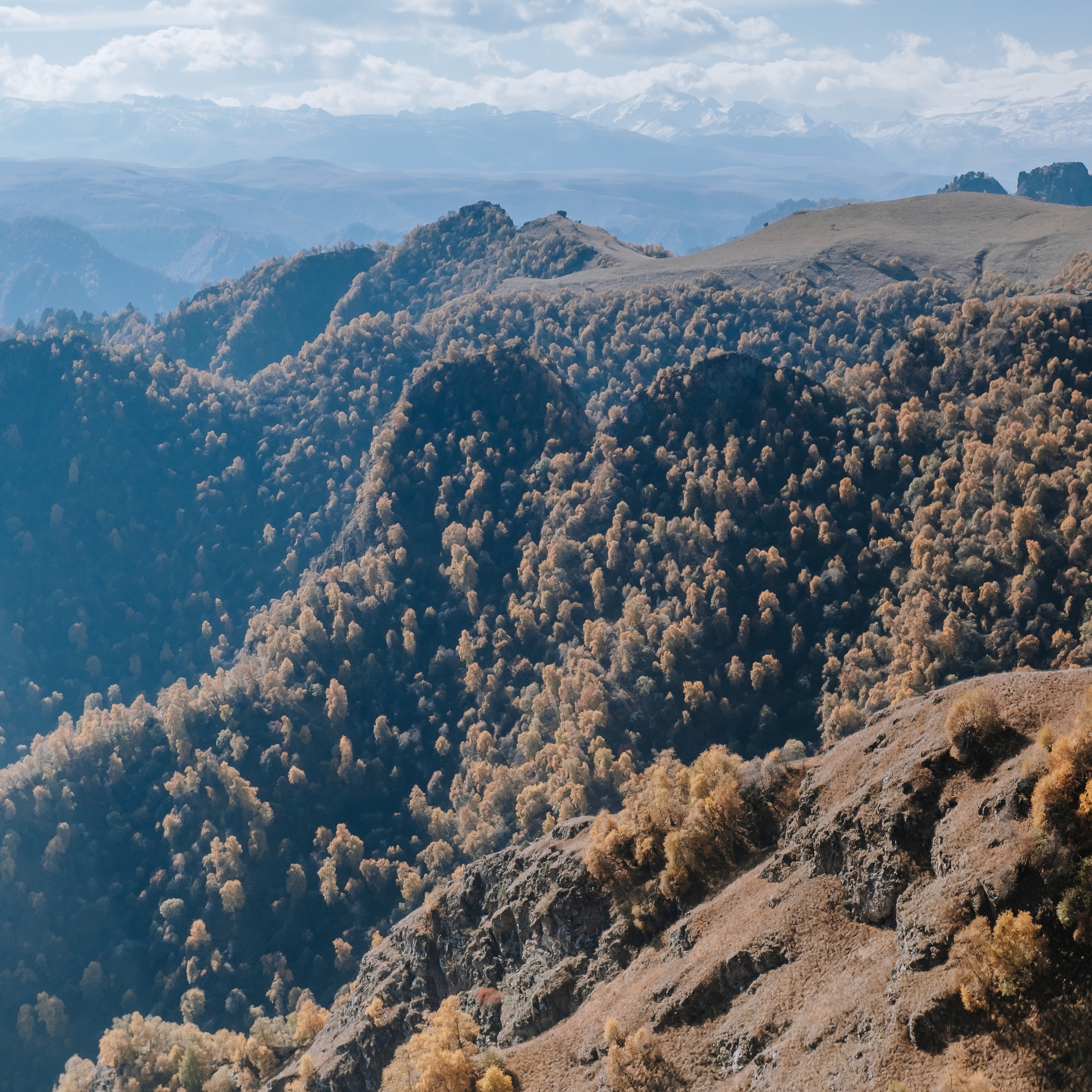 КМВ (октябрь 2021)