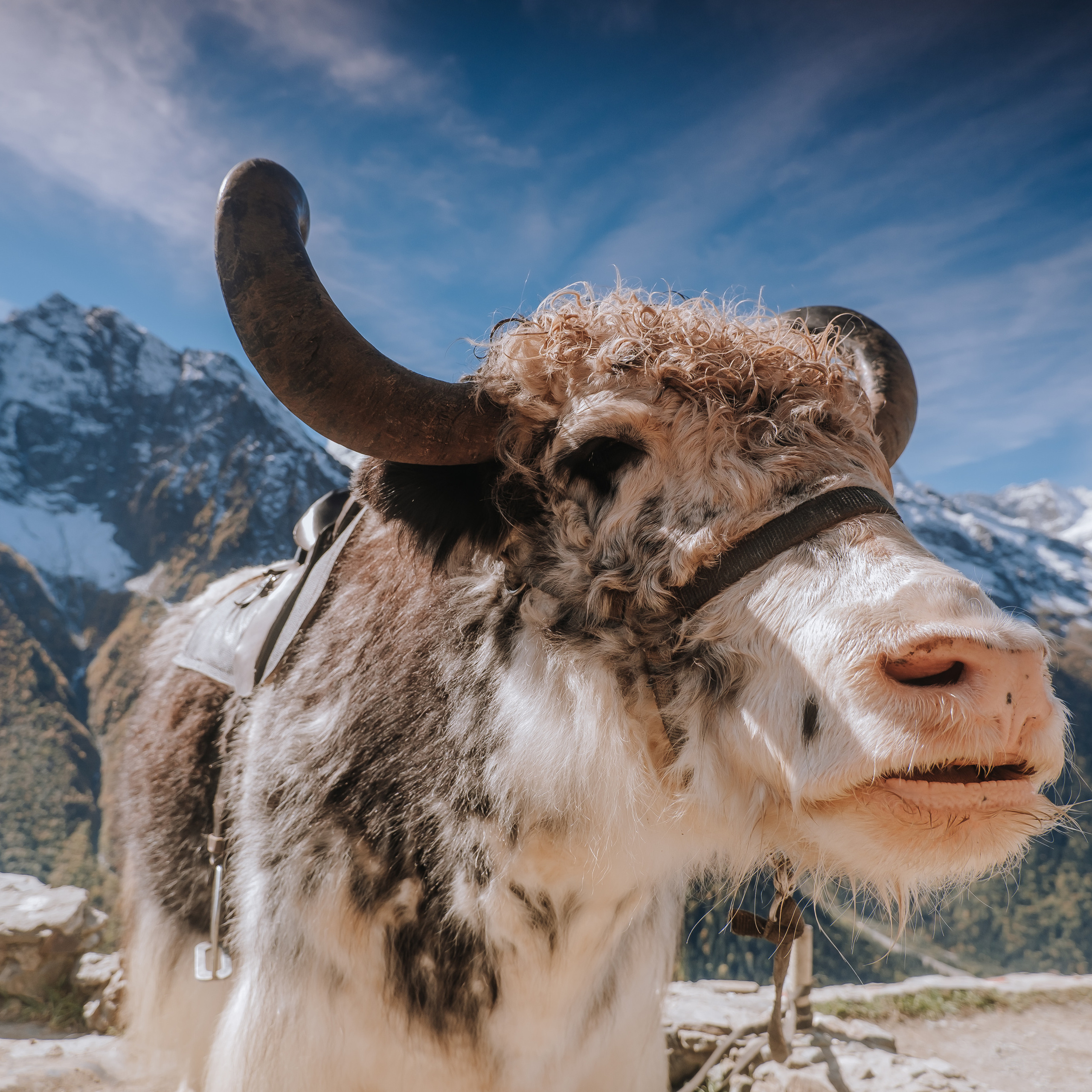 КМВ (октябрь 2021)