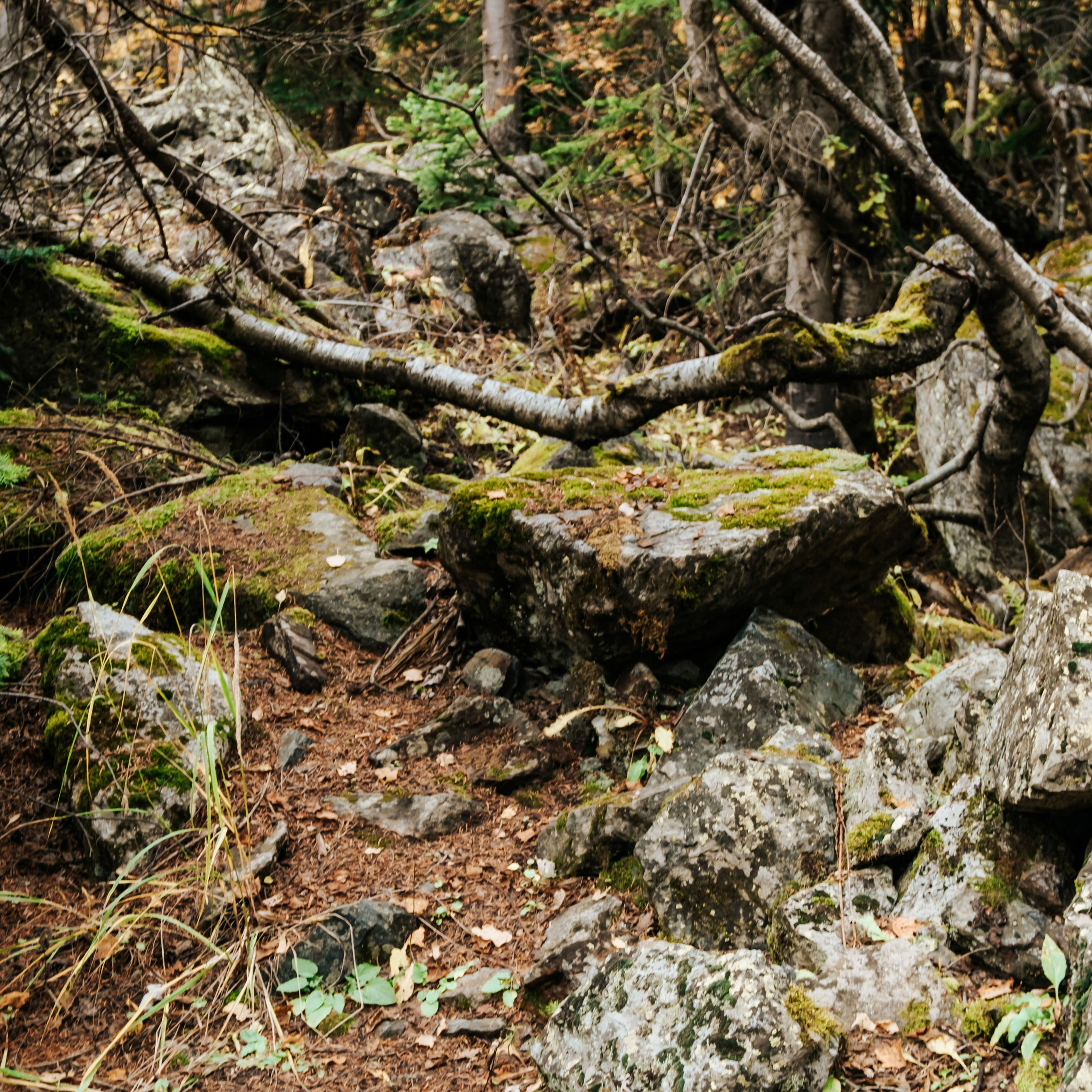 КМВ (октябрь 2021)