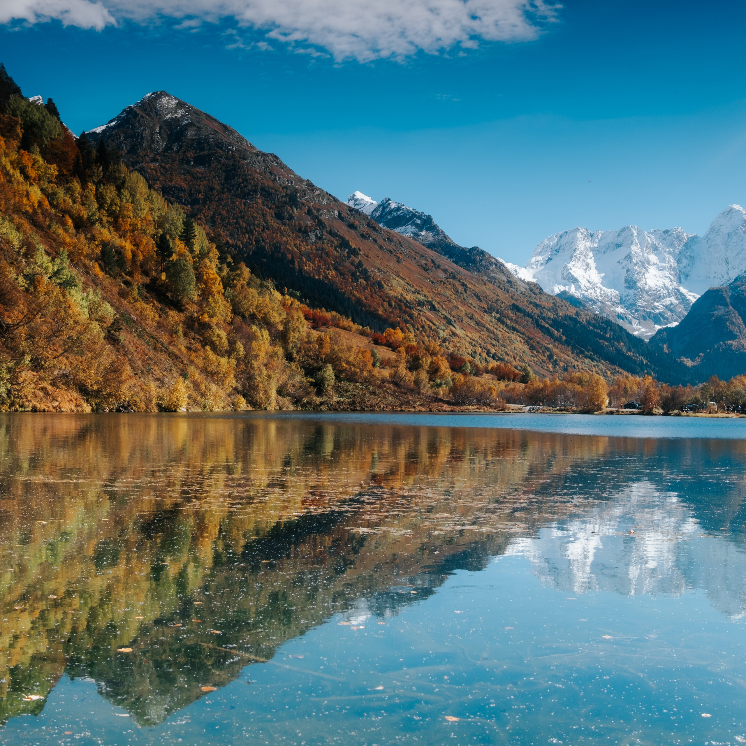 КМВ (октябрь 2021)